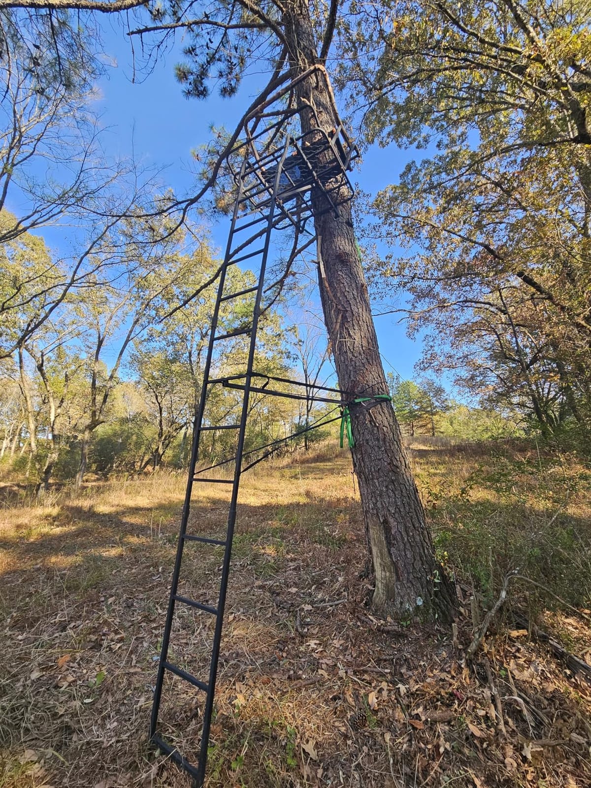 Muddy 2-Person Ladder Tree Stand for Deer Hunting,17' Tall, Black customer photo 1