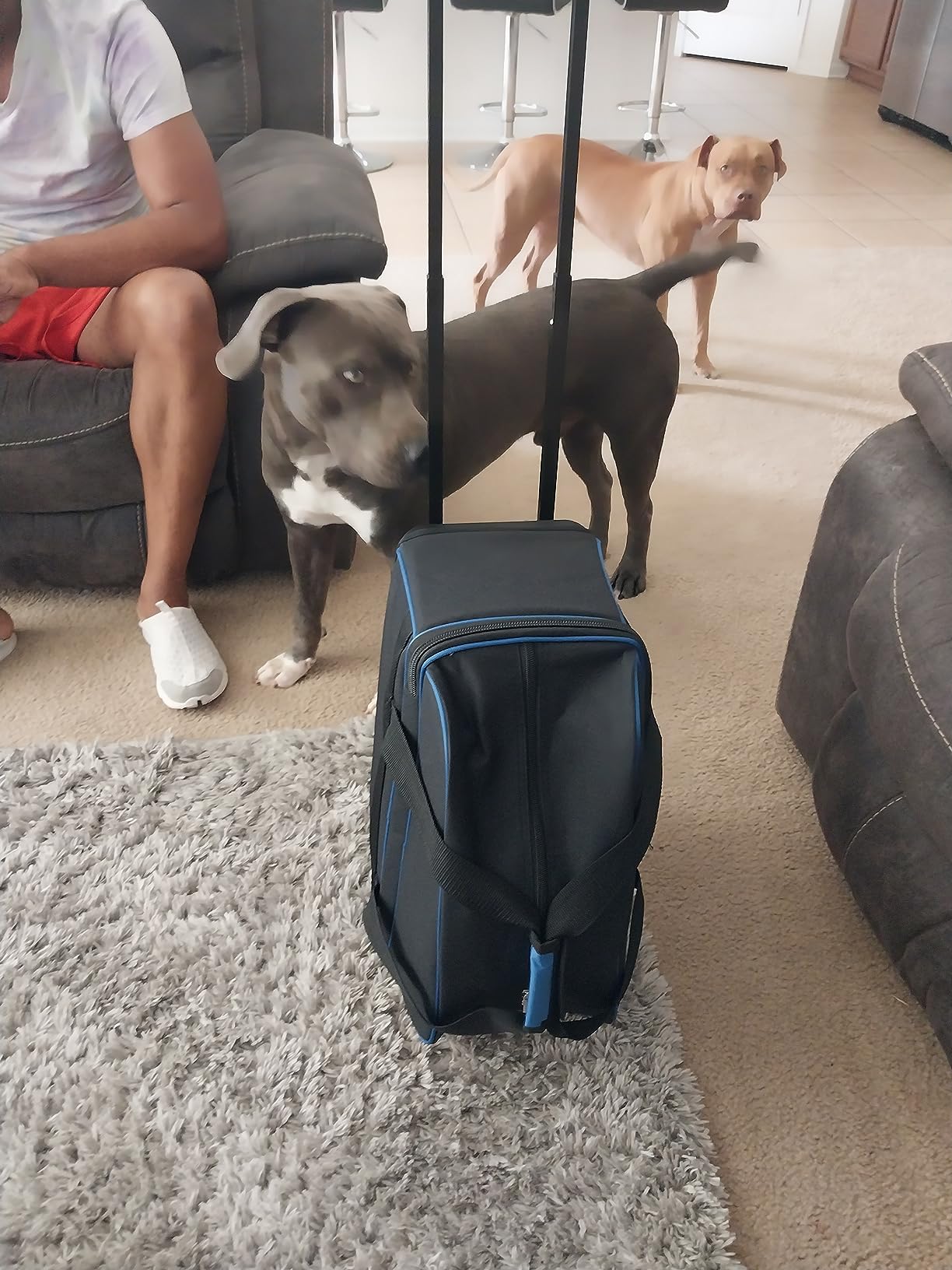 Pyramid Prime Double Roller 2 Ball Bowling Bag with Large Separate Compartment for Bowling Shoes (Up To US Mens Size 16) or Accessories, Locking Handle - Extends to 40