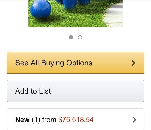 HEY! PLAY! 13-Piece Wood Bowling Set - Indoor/Outdoor Bowling Game for Adults and Kids Ages 3 and Up - 10 Wood Pins, 2 Balls, and Carrying Bag (Blue) customer photo 2