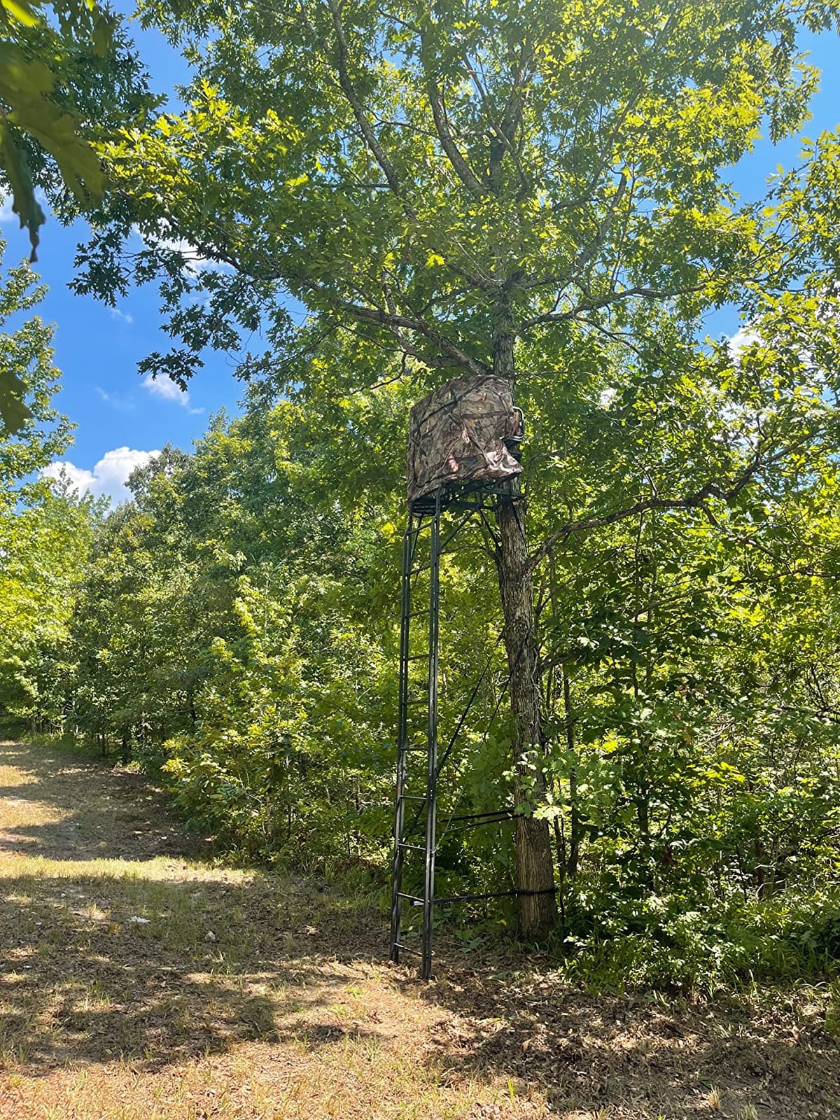 Guide Gear 20' 2-Man Ladder Tree Stand with Hunting Blind Climbing Hunt Seat, Hunting Gear Equipment Accessories customer photo 2