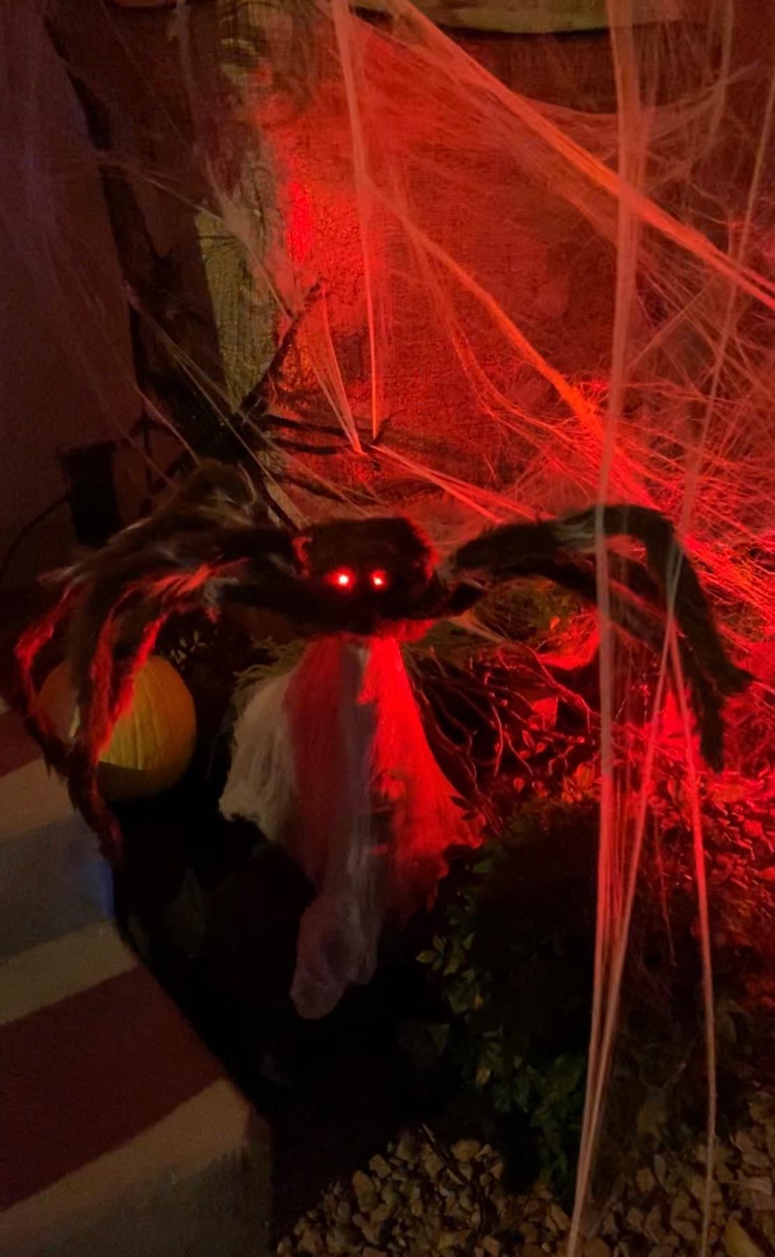 Spirit Halloween 21 In LED Brown Jumping Spider Animatronic, Multicolor customer photo 2