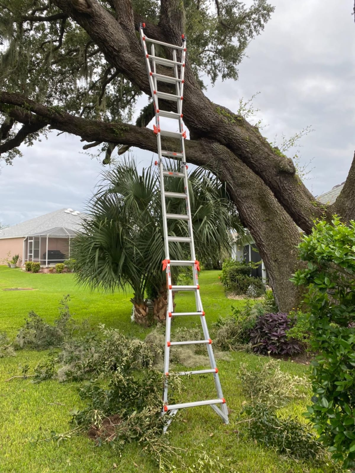 Little Giant Velocity, Aluminum Ladder, 22 ft with Leg Levelers, 15422-801 | Telescoping Multi-Position Ladder, Integrated Leg Levelers, Slip-Resistant Feet, Type IA 300 lbs. Rating customer photo 1