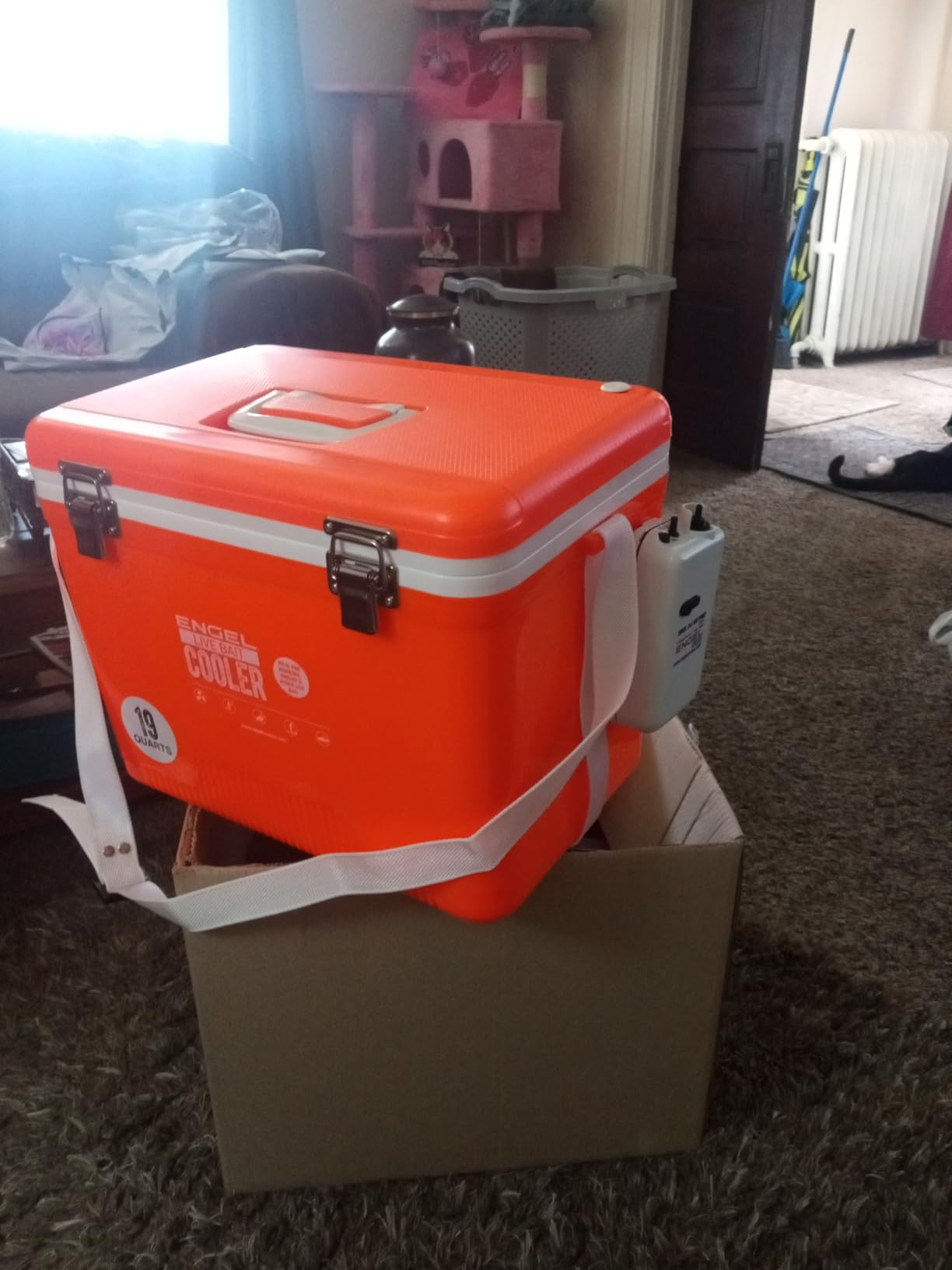 Engel Live Bait Cooler Box with 2nd Gen 2-Speed Aerator Pump - Portable Fishing Station & Minnow Bucket for Shrimp & Other Live Fish with Aerator - ENGLBC-N customer photo 2