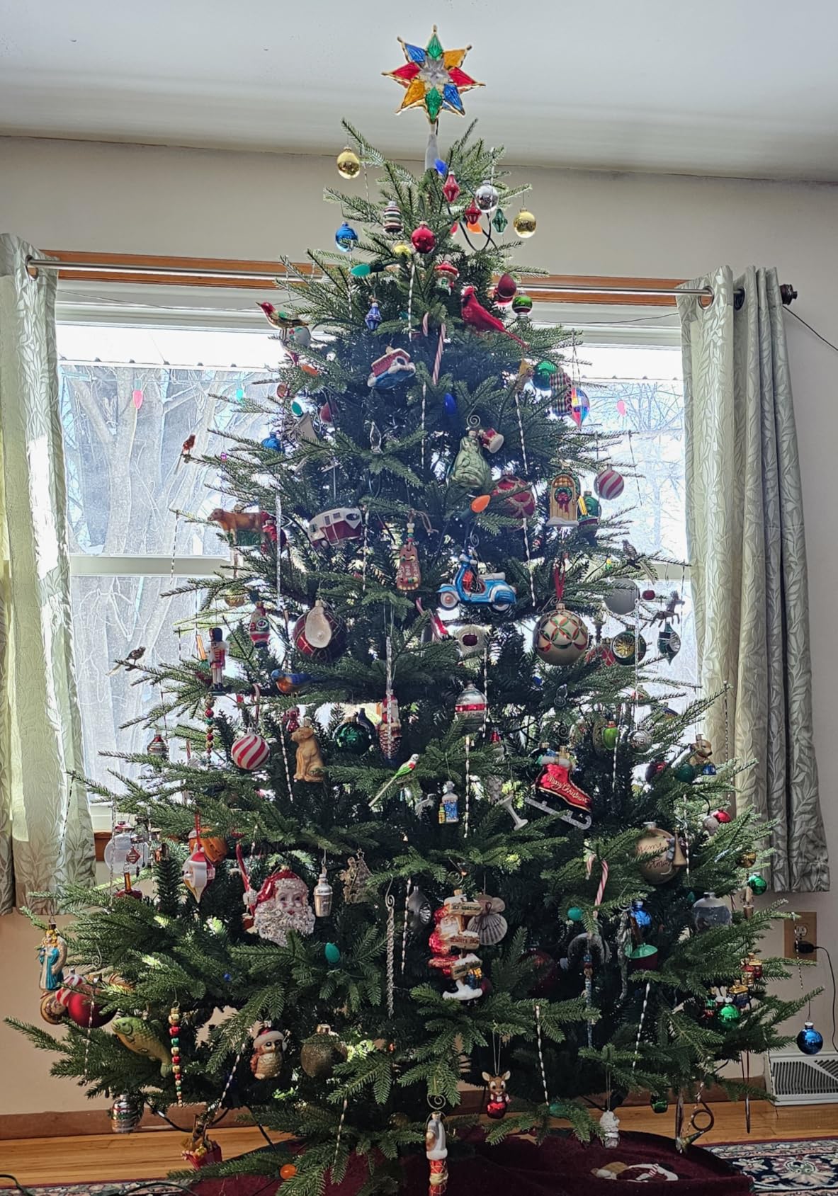 National Tree Company 7.5 ft Unlit Fraser Grande Artificial Christmas Tree, 3,719 Tips, Includes Stand, Green customer photo 2