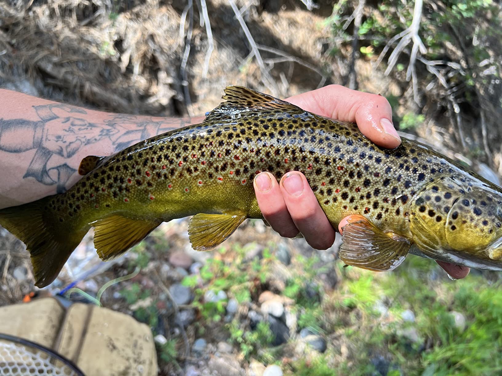 Redington Crosswater 4/5/6 Fly Reel - Prespooled with 5WT Fly Fishing Line, Freshwater Trout Fishing customer photo 2