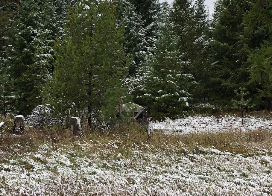 Ameristep Caretaker Hunting Blind customer photo 1
