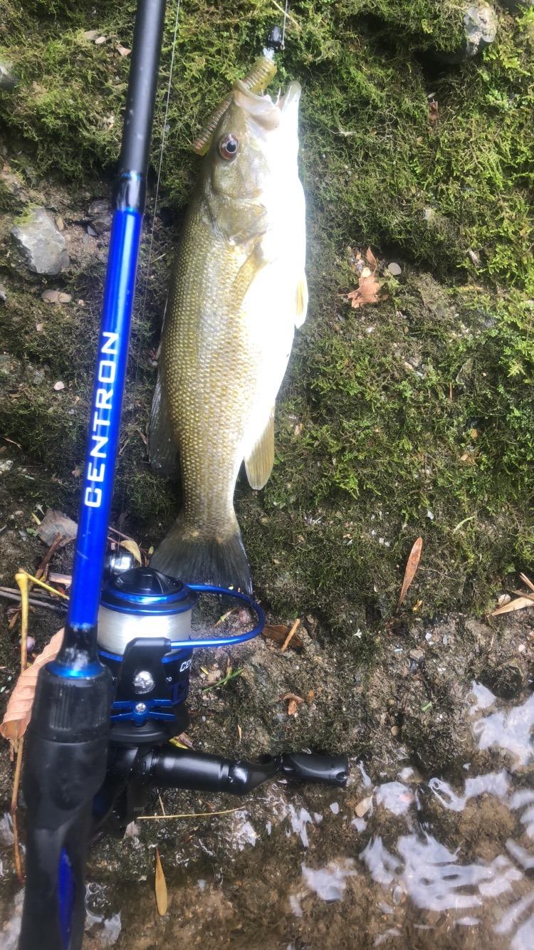 KastKing Centron Fishing Rod and Reel Combo, Baitcaster & Spinning Combo | 2-Piece Rod Blanks, Stainless Steel Guides with Ceramic Rings, EVA Handle with Fighting Butt, Freshwater Fishing customer photo 2