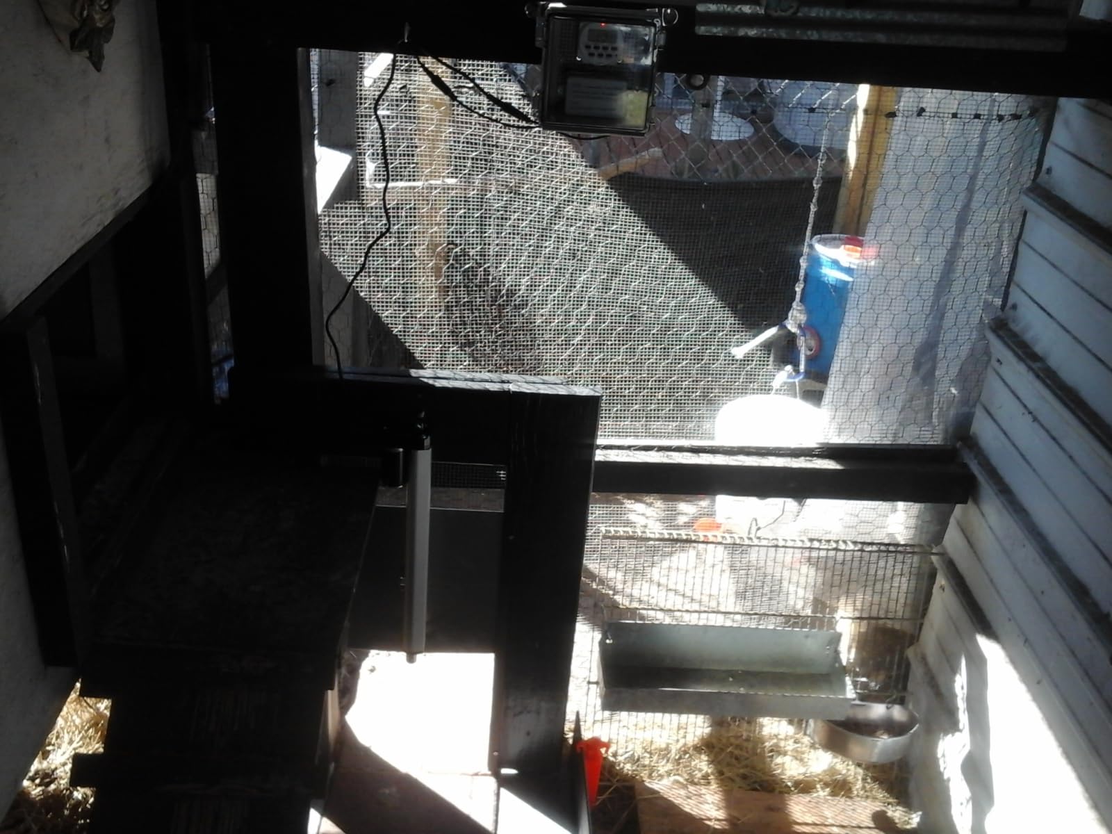 JVR Automatic Chicken Coop Door, Programmable Timer, Anti-Pinch, Aluminum customer photo 2