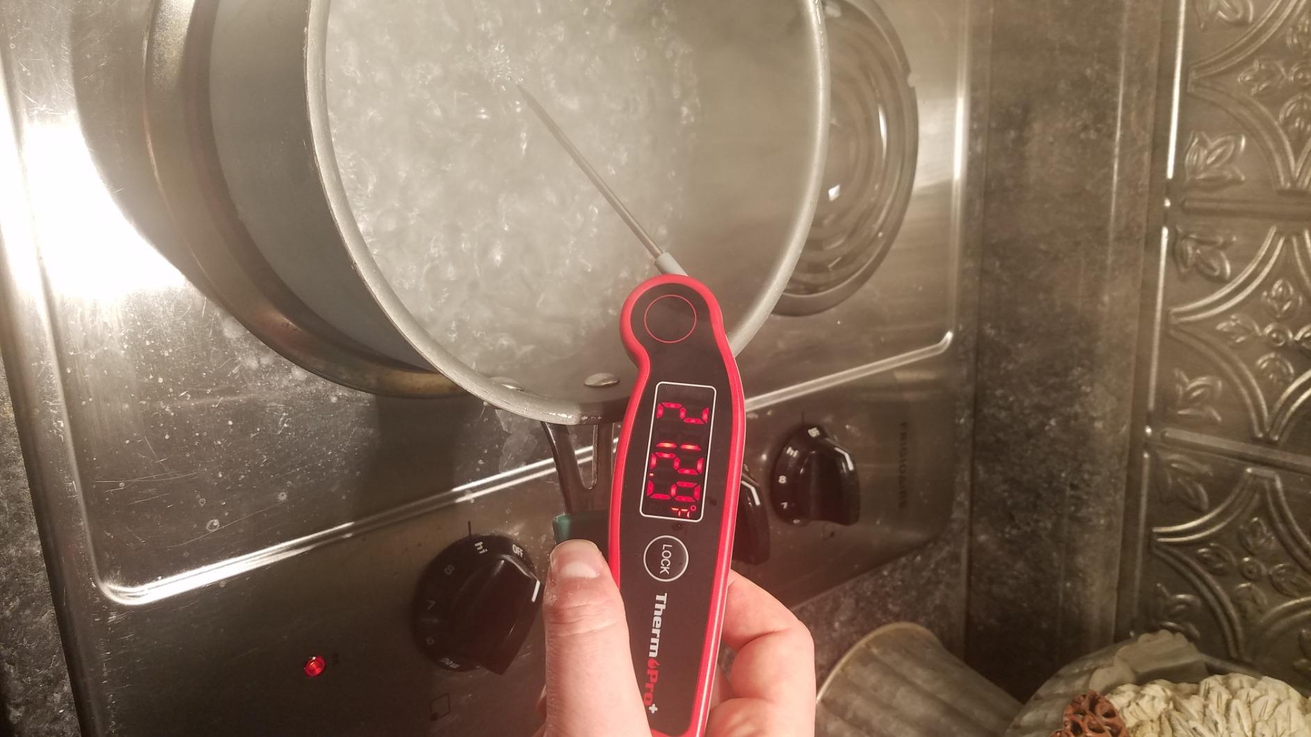 TempPro TempSwift 0.5 Sec Instant Read Digital Meat Thermometer Waterproof customer photo 1