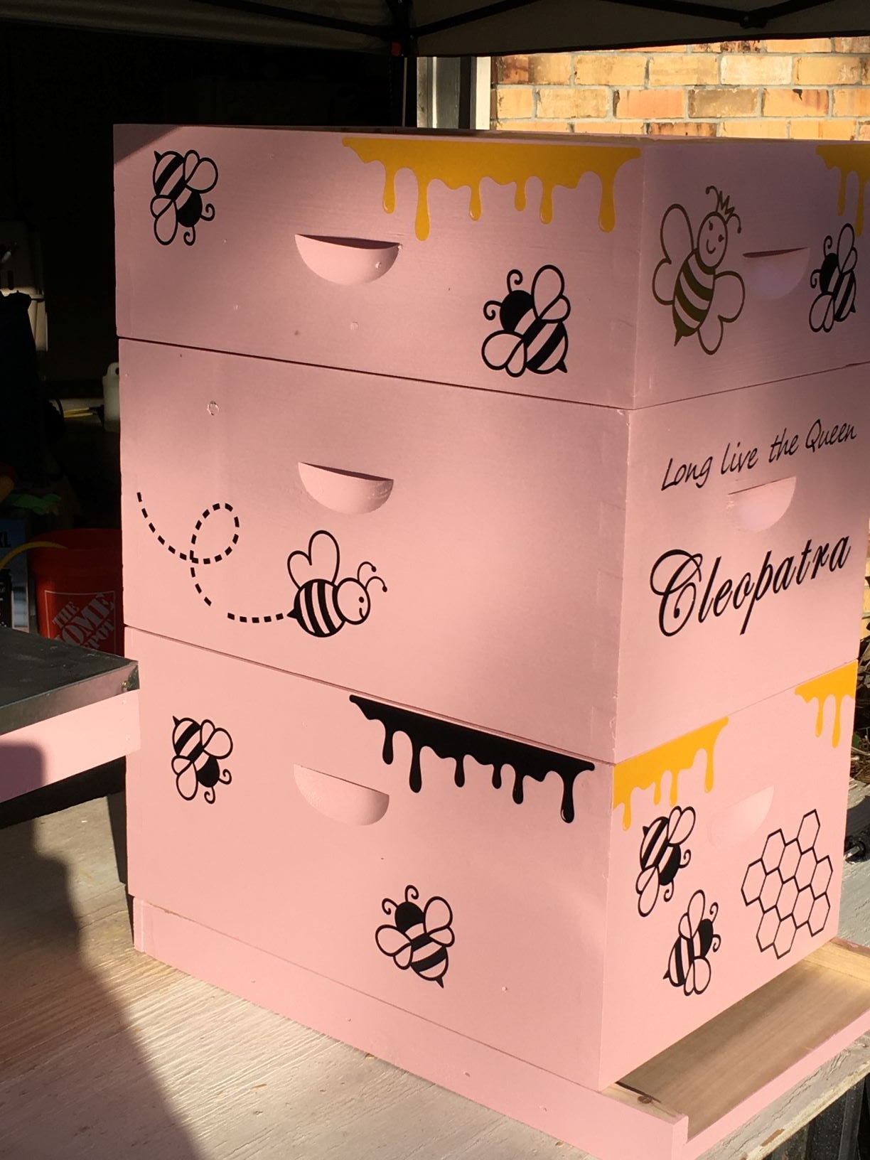 NuBee 8-Frame Beehive Kit - Unassembled Langstroth Hive with 2 Deep & 1 Medium Boxes, Frames & 100% Wax-Coated Foundations | Lightweight Fir & Pine Construction customer photo 1