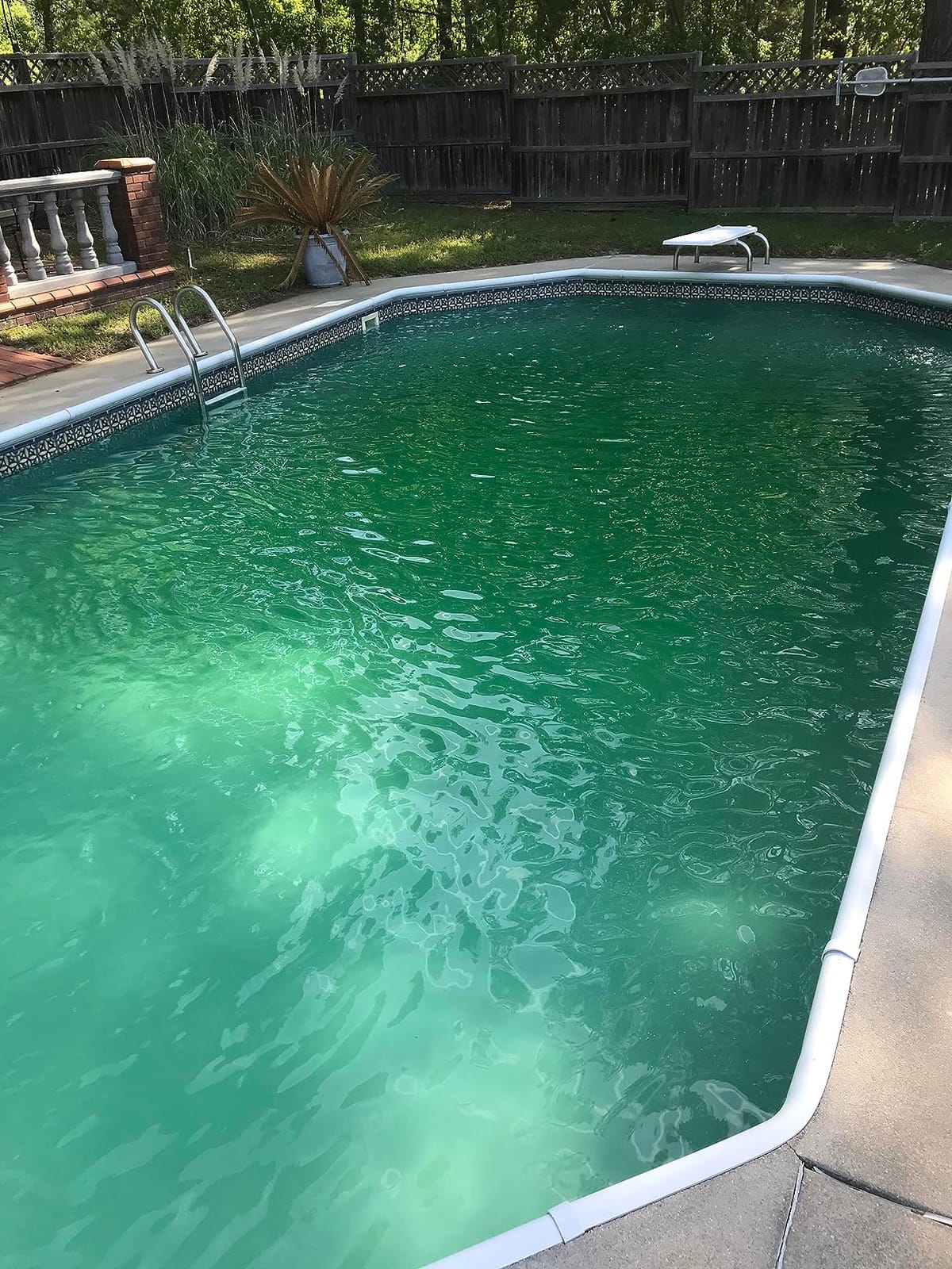 Hayward W3DE3620 ProGrid Diatomaceous Earth DE Pool Filter for In-Ground Pools, 36 Sq. Ft. customer photo 1