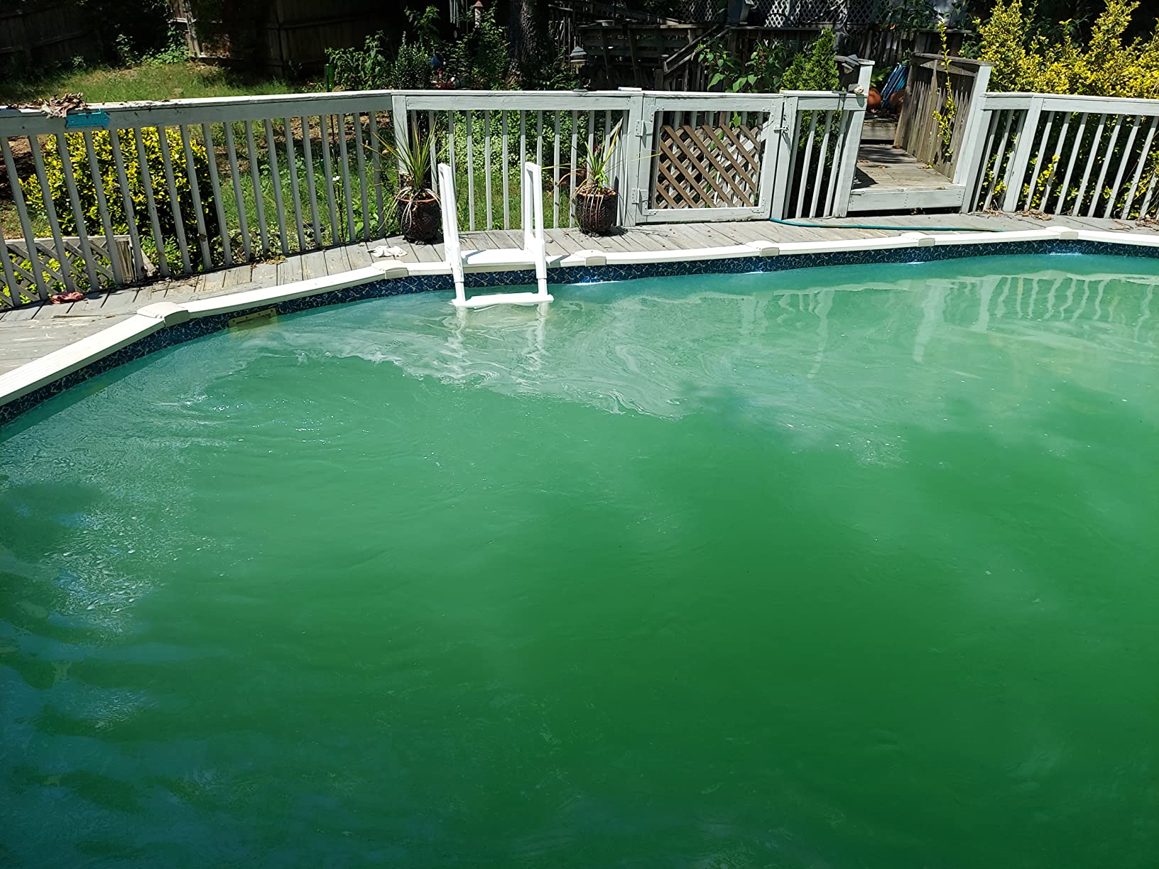 Hayward W3S166T ProSeries Sand Filter 16 in., Top-Mount for Above-Ground Pools customer photo 2