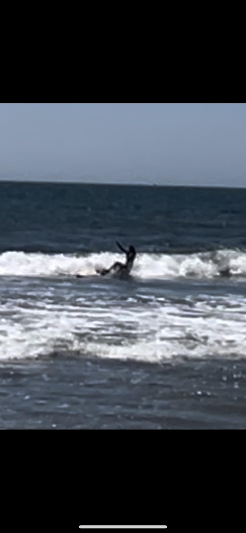 Wavestorm 8ft Surfboard // Foam Wax Free Soft Top Longboard for Adults and Kids of All Levels of Surfing, Multicolor customer photo 1