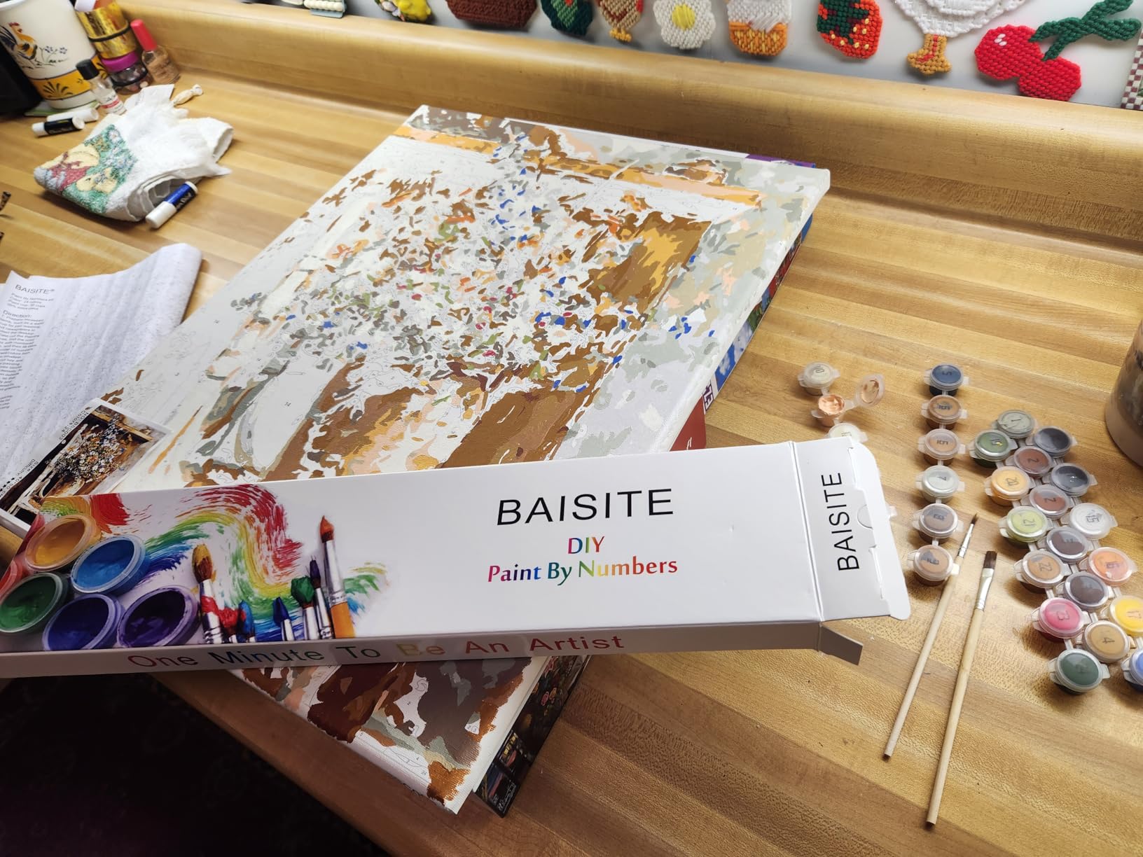 BAISITE Paint by Numbers Kit for Adults Beginners, 20 W x 16 L Canvas for Painting Kits for Adults in Colorful Box Poppy Flowers customer photo 2