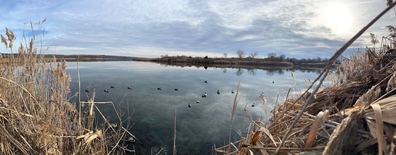Final Approach Last Pass Mallard Floaters, Decoy 12 Pack customer photo 2
