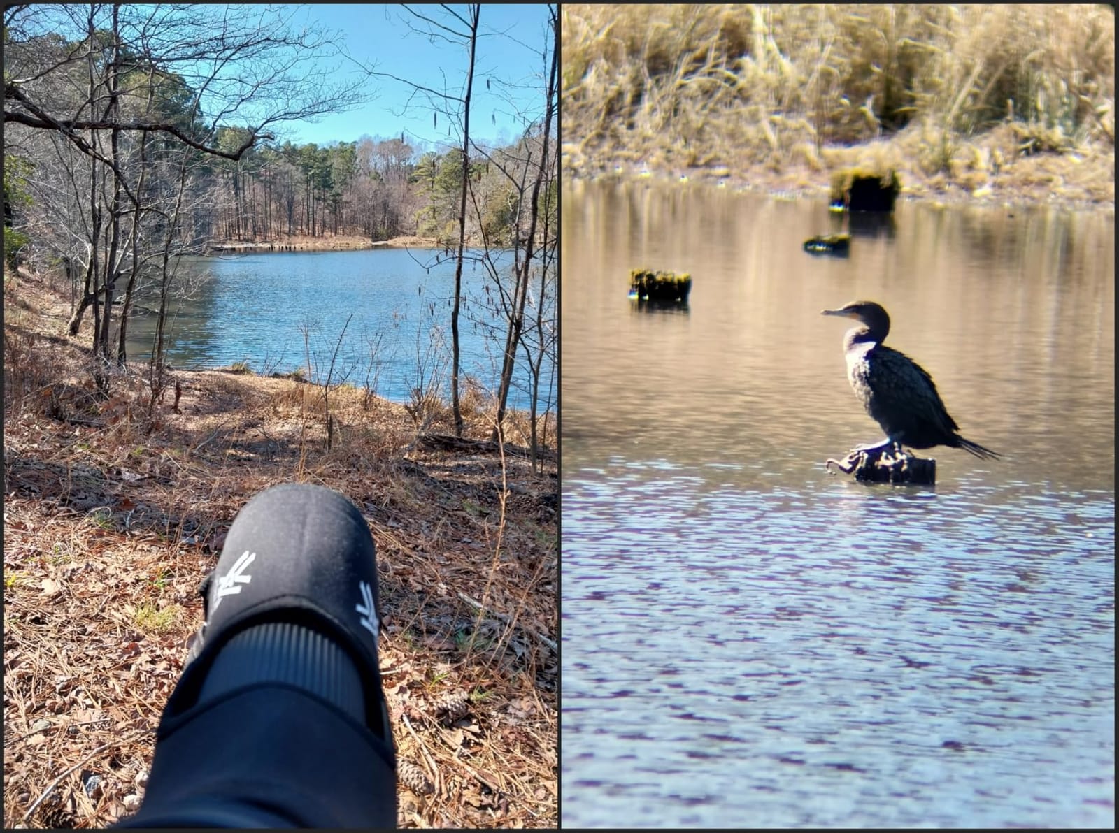 Vortex Diamondback HD Spotting Scope 16-48x65 Angled | HD Optics, Fully Multi-coated Lenses, Helical Focus, Arca-Swiss Compatible - Unlimited, Unconditional Warranty customer photo 1
