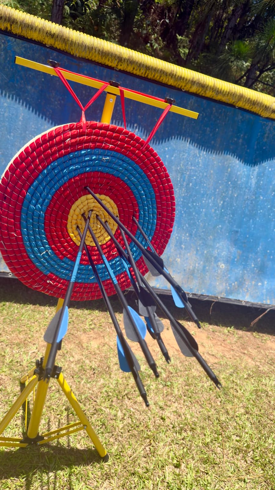 Sanlida Archery Dragon X8 RTH Compound Bow Package for Adults and Teens,18”-31” Draw Length,0-70 Lbs Draw Weight,up to IBO 310 fps,No Bow Press Needed,Limited Life-time Warranty,RH Only customer photo 1