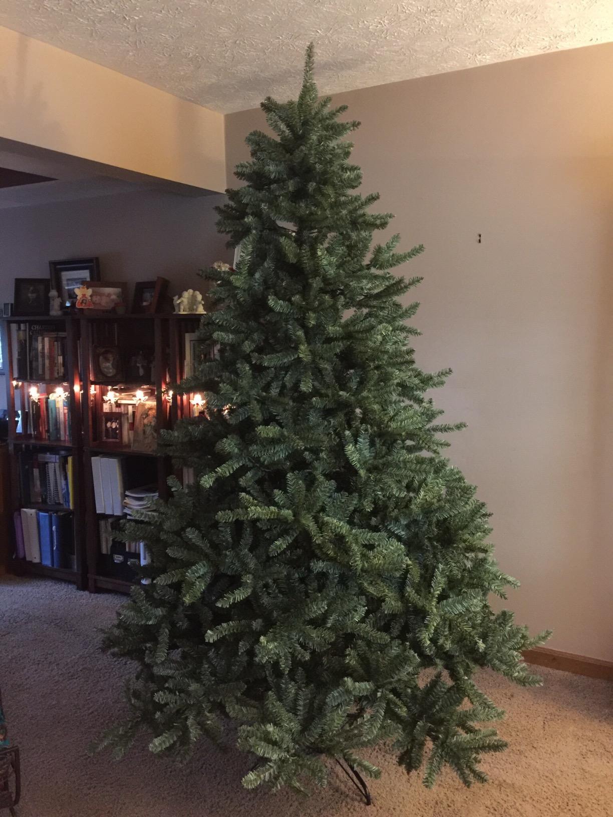 Balsam Hill 7.5ft Pre-Lit Classic Blue Spruce Artificial Christmas Tree with 1000 Clear Incandescent Lights, Easy Plug Technology, Premium Stand customer photo 1