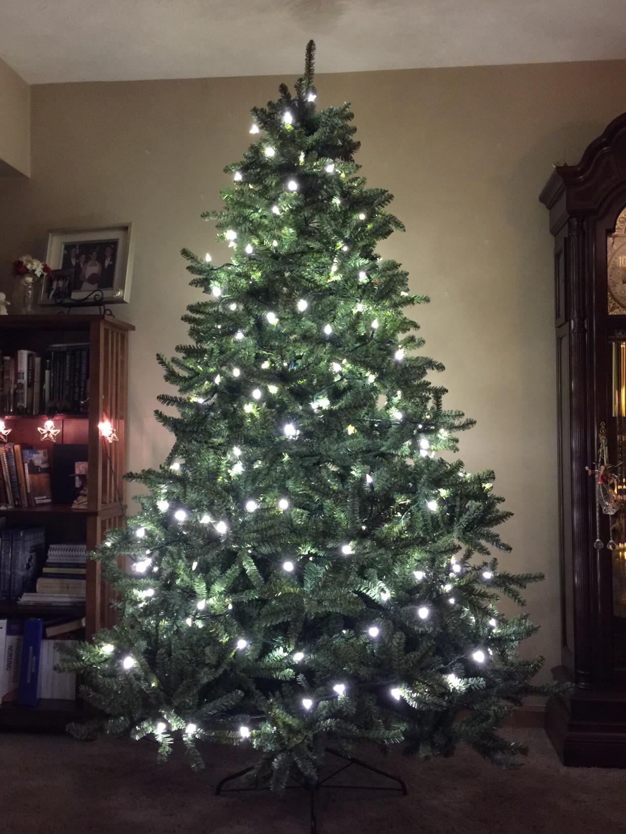 Balsam Hill 7.5ft Pre-Lit Classic Blue Spruce Artificial Christmas Tree with 1000 Clear Incandescent Lights, Easy Plug Technology, Premium Stand customer photo 2