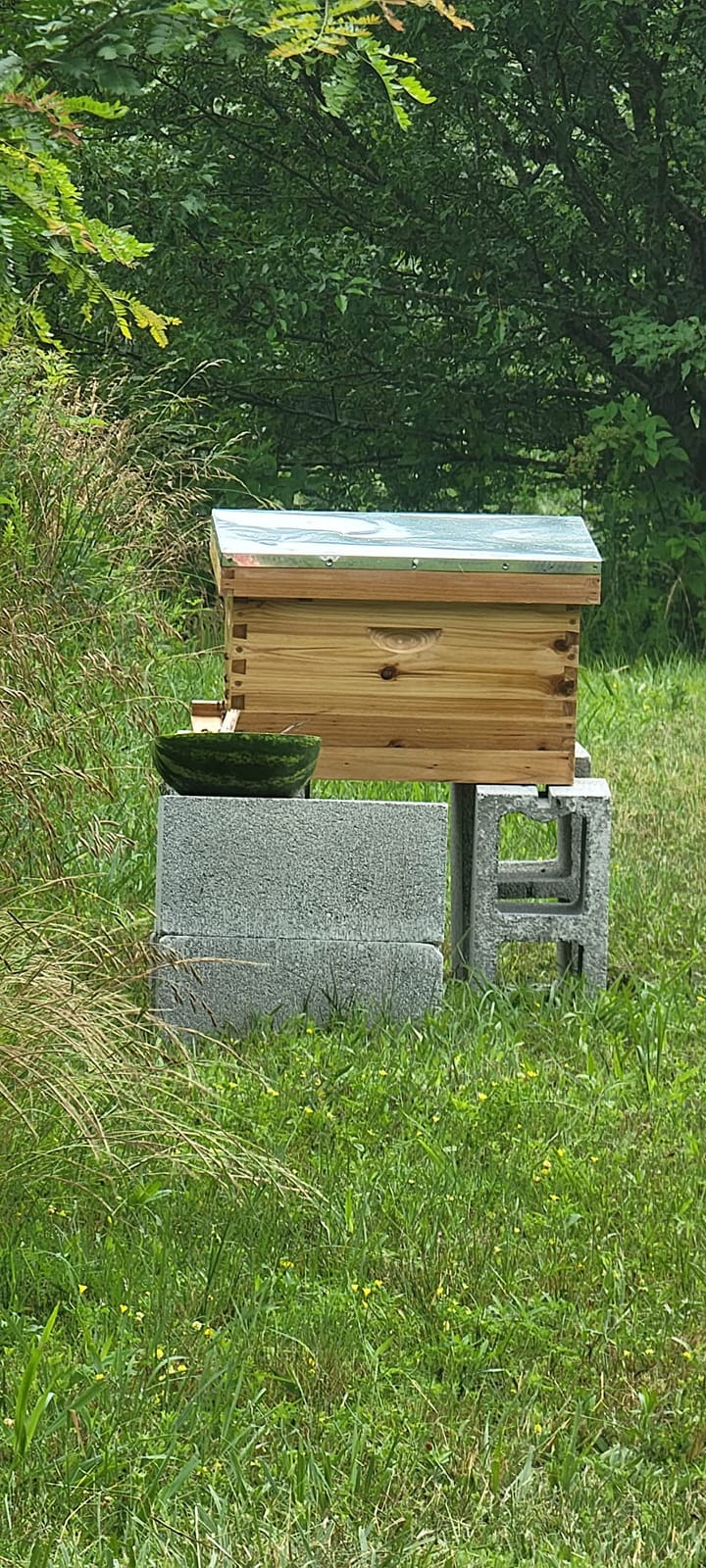 Honey Lake 10 Frame Bee Hives Boxes Starter Kit and Bee Keeping Supplies-All Beginners Kit, Bee Hive Kit with Beekeeping Tool Kit Includes Bee Smoker Beekeeper Veil Hat customer photo 2