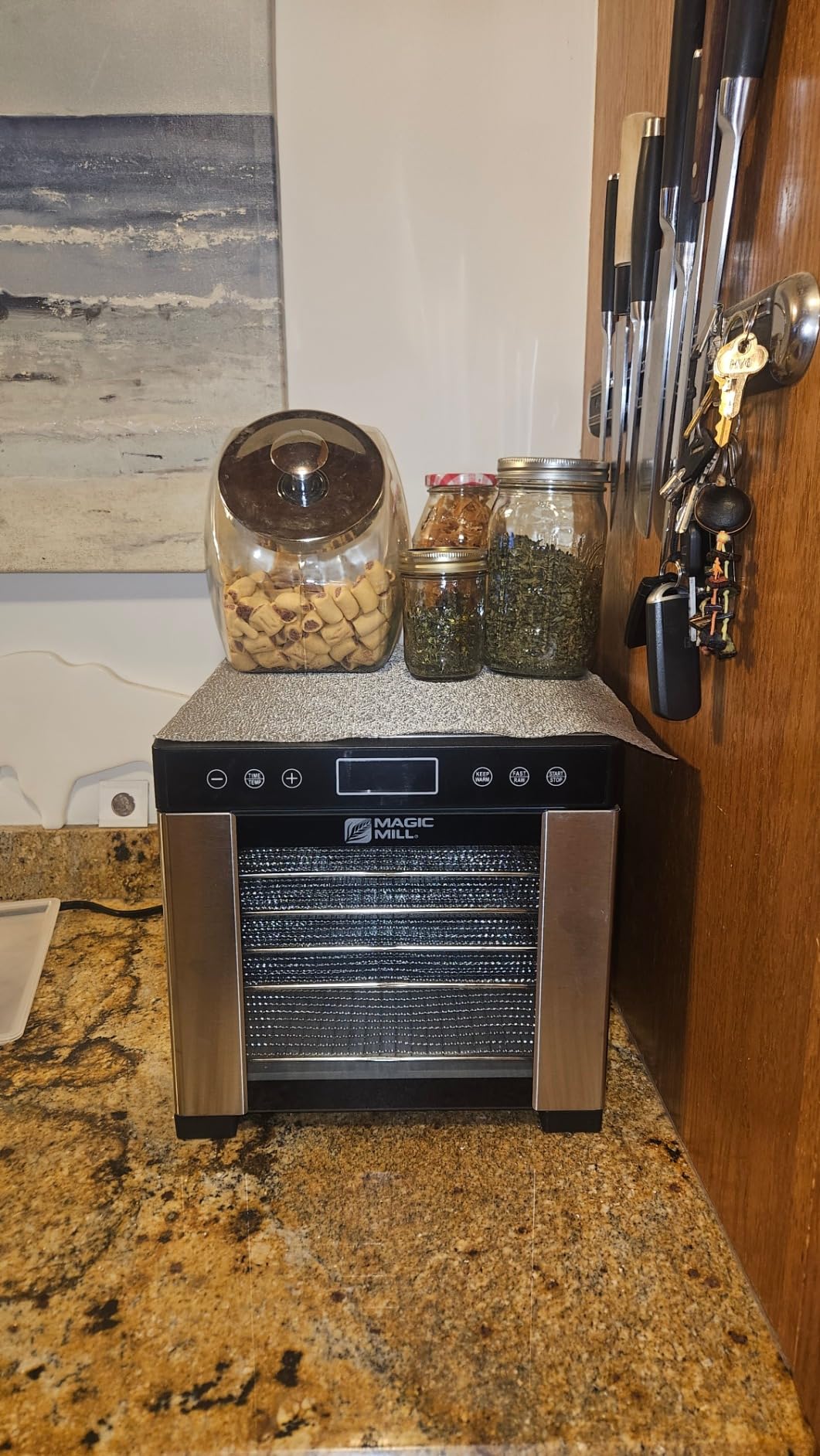 Magic Mill Pro Food Dehydrator Machine | Powerful 600W Rear Fan Even-Drying System | 7 Full-Size Stainless Steel Trays | 95°-176° Temperature Control, 48H Timer, Keep Warm + Auto Shutoff | ETL Listed customer photo 1