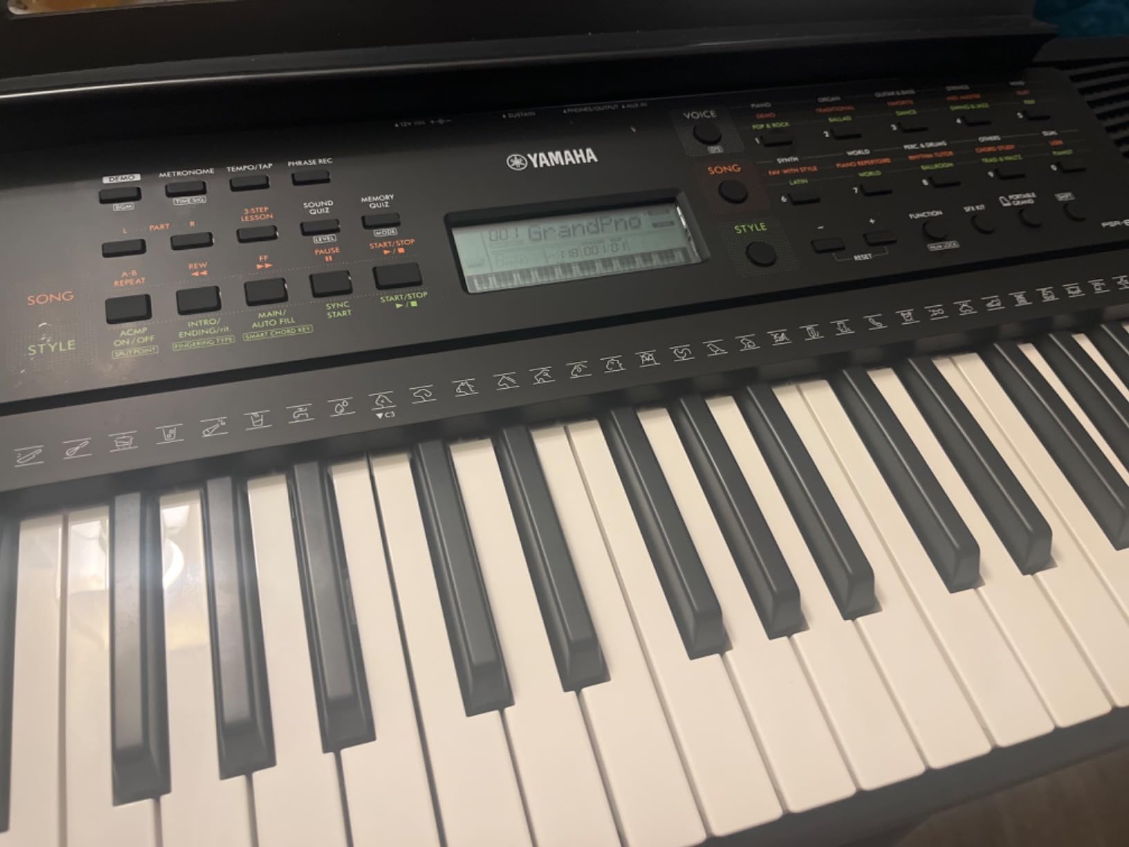 Yamaha 61-Key Portable Keyboard for Beginners with Learning Tools, Music Rest and Power Adapter PSRE283 customer photo 1