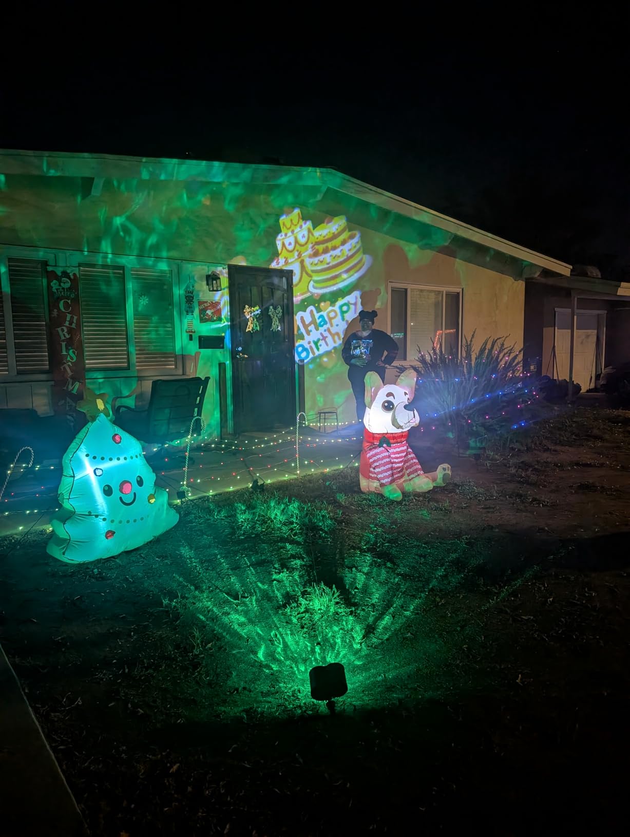 4-Large Pattern Halloween Christmas Projector Lights Outdoor, 29 Effects Holiday Projector Light Outdoor 2 in 1 with Remote customer photo 1