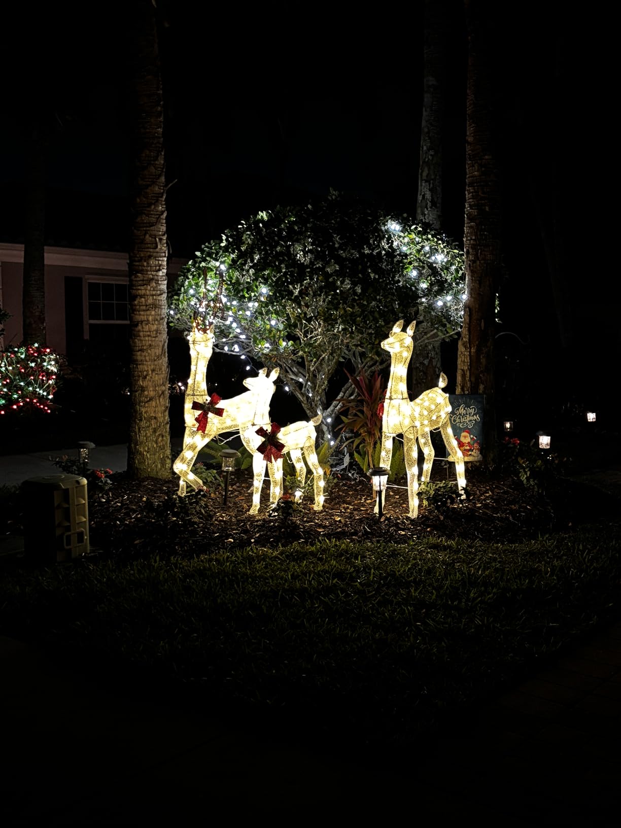 5Ft 3-Piece LED Lighted Christmas Deer Family Outdoor Yard Decorations, 3D Super Large Christmas Reindeer Decor, Outdoor Lighted Holiday Deer with 360 LED Displays for Patio, Lawn and Garden, White customer photo 2