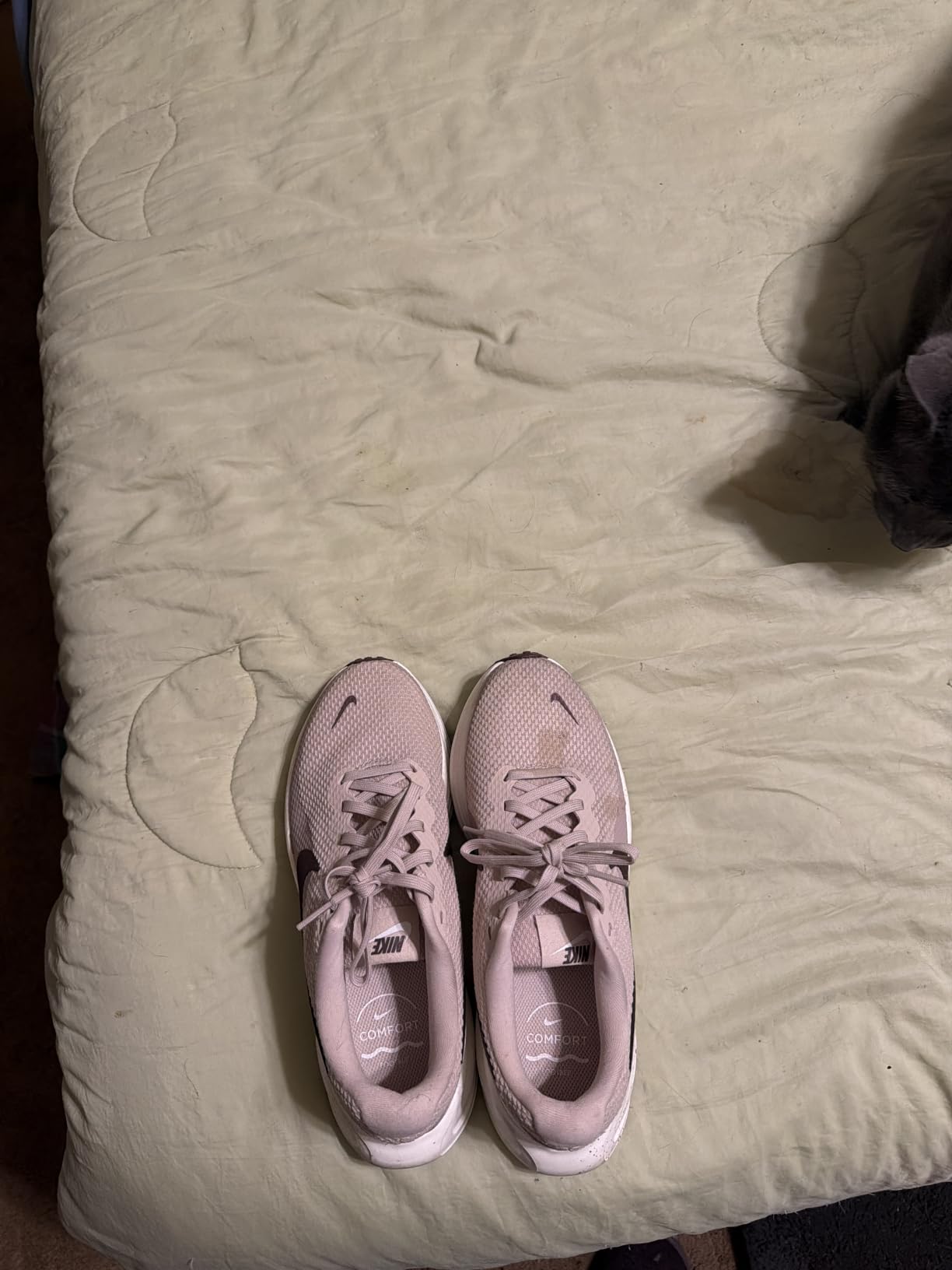 Nike Women's Revolution 8 Road Running Shoes customer photo 1