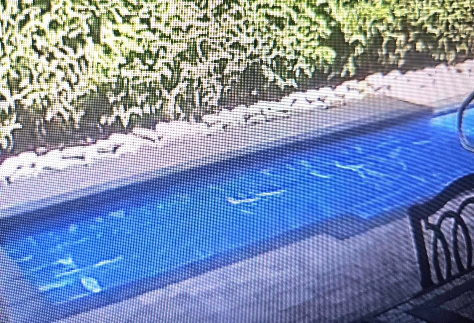 VINGLI 16Mil Solar Pool Cover, Blue 12'x24' Rectangular | Heats Pool / Maximum Tear Resistance / Bubble Core Locks In Heat / Heavy-Duty Thermal Pool Cover for Inground Pools customer photo 2