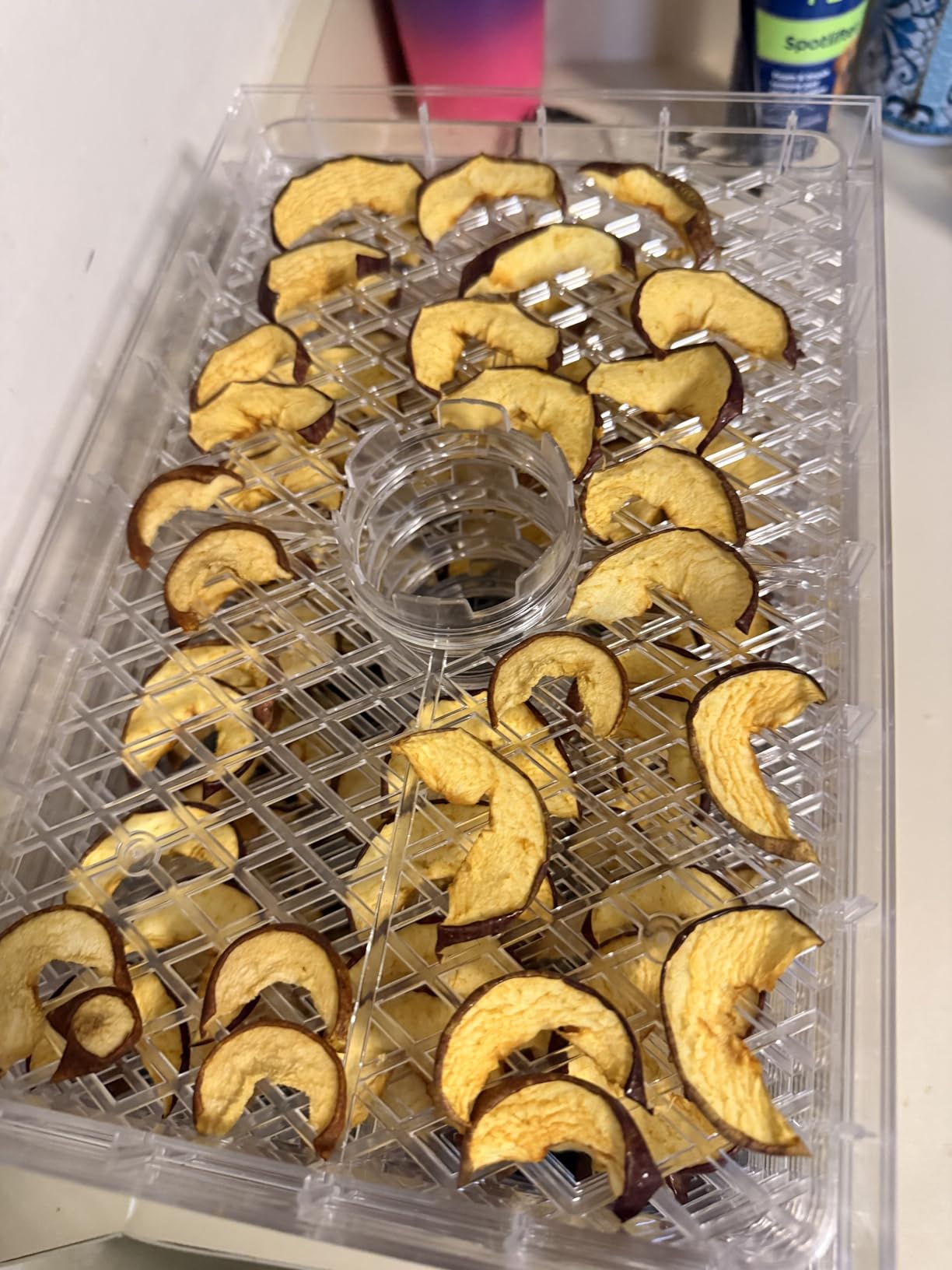 Small Food Dehydrator Dryer - Dehydrator for Healthy Food | Meat, Jerky, Fruit, Vegetable, Mushroom and Herb, 400W, 158°F, Mini Dryer with 5 BPA-Free Drying Racks, White, Model 904 customer photo 2