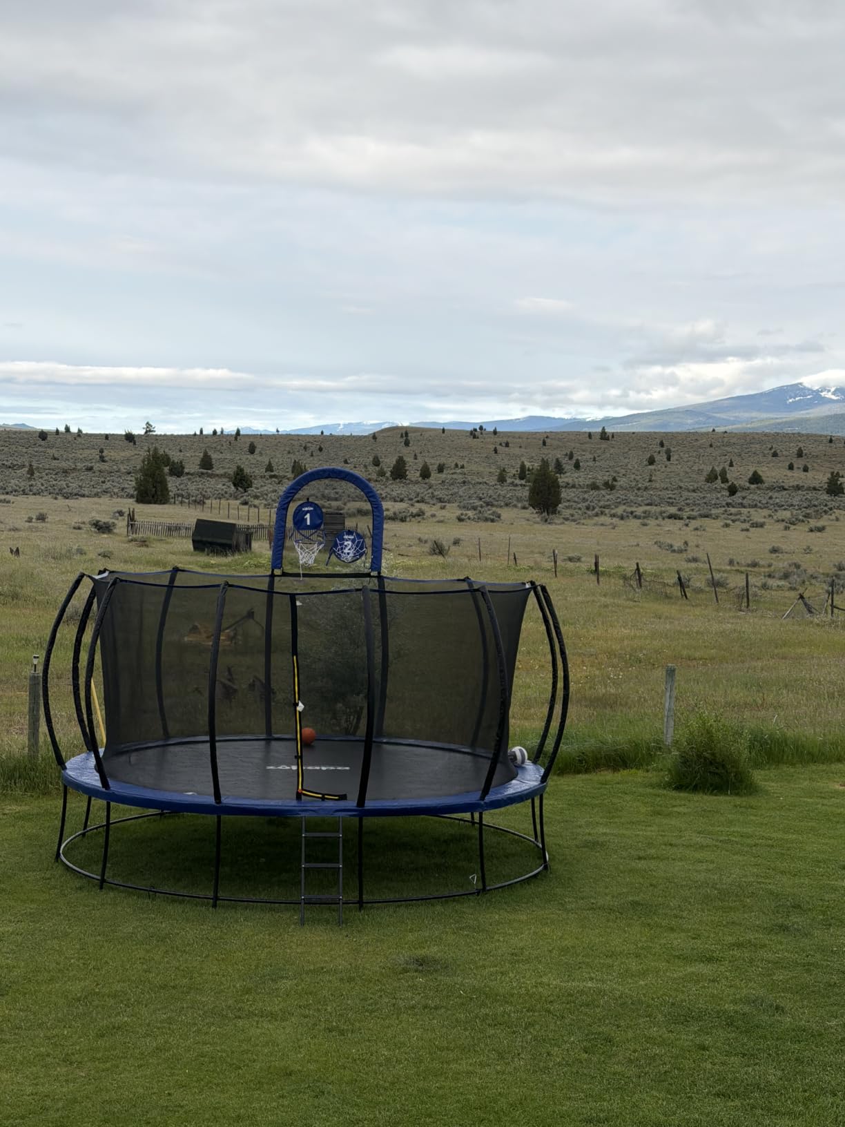 Zupapa 1800LBS Capacity No-Gap Design 16 15 14 12FT Trampoline with Safety Enclosure Net and Non-Slip Ladder 10-Year Quality Assurance - Perfect for Kids Family Outdoor Backyard Fun customer photo 1