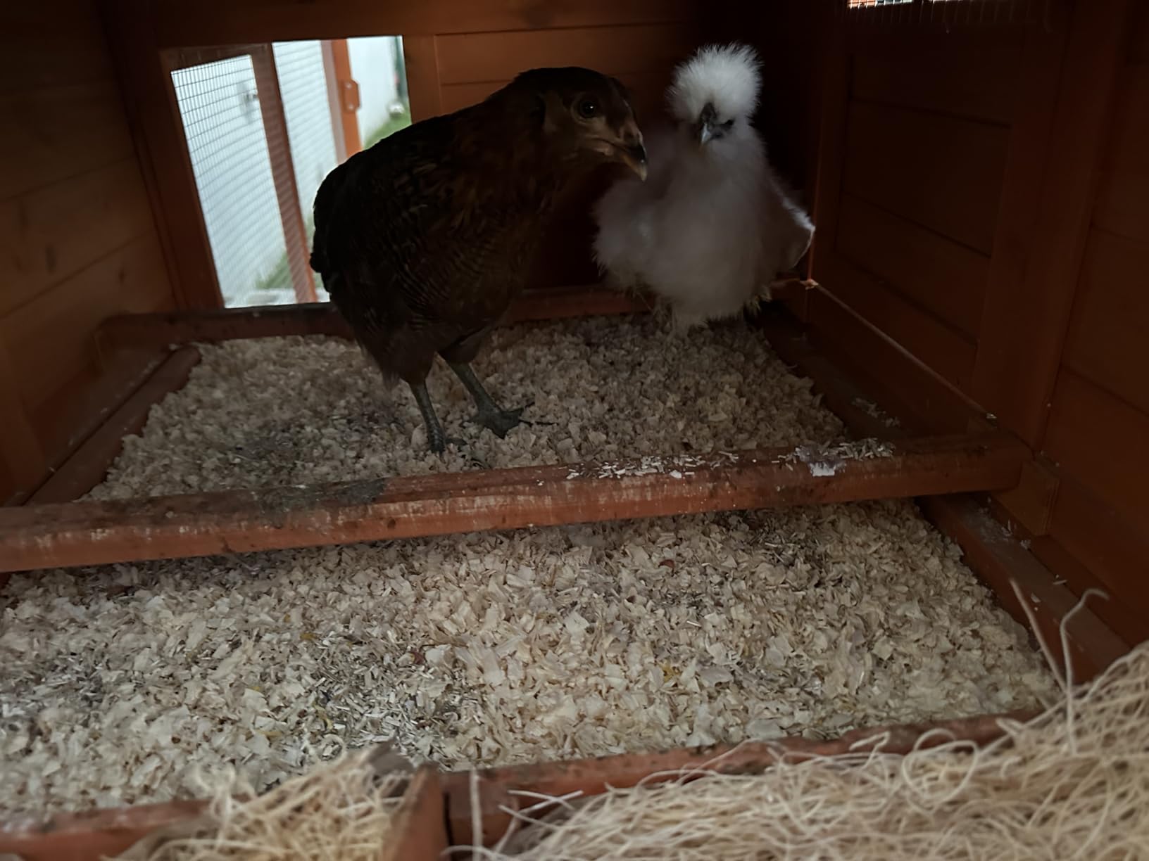 Large Chicken Coop Outdoor Durable Duck House Poultry Pet Hutch & 2 Wood Eggs Run Cage Nesting Box Waterproof Asphalt Roof Ramp Removable Tray Wire Fence for Backyard Small Animal (Orange) customer photo 2