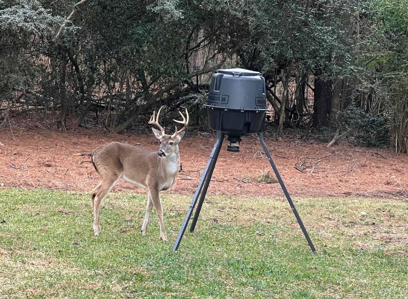 Moultrie 200 Lb Deer Feeder Standard - Bluetooth App Control, Pairs with Edge 3 for Full Remote Access, No Subscription customer photo 2