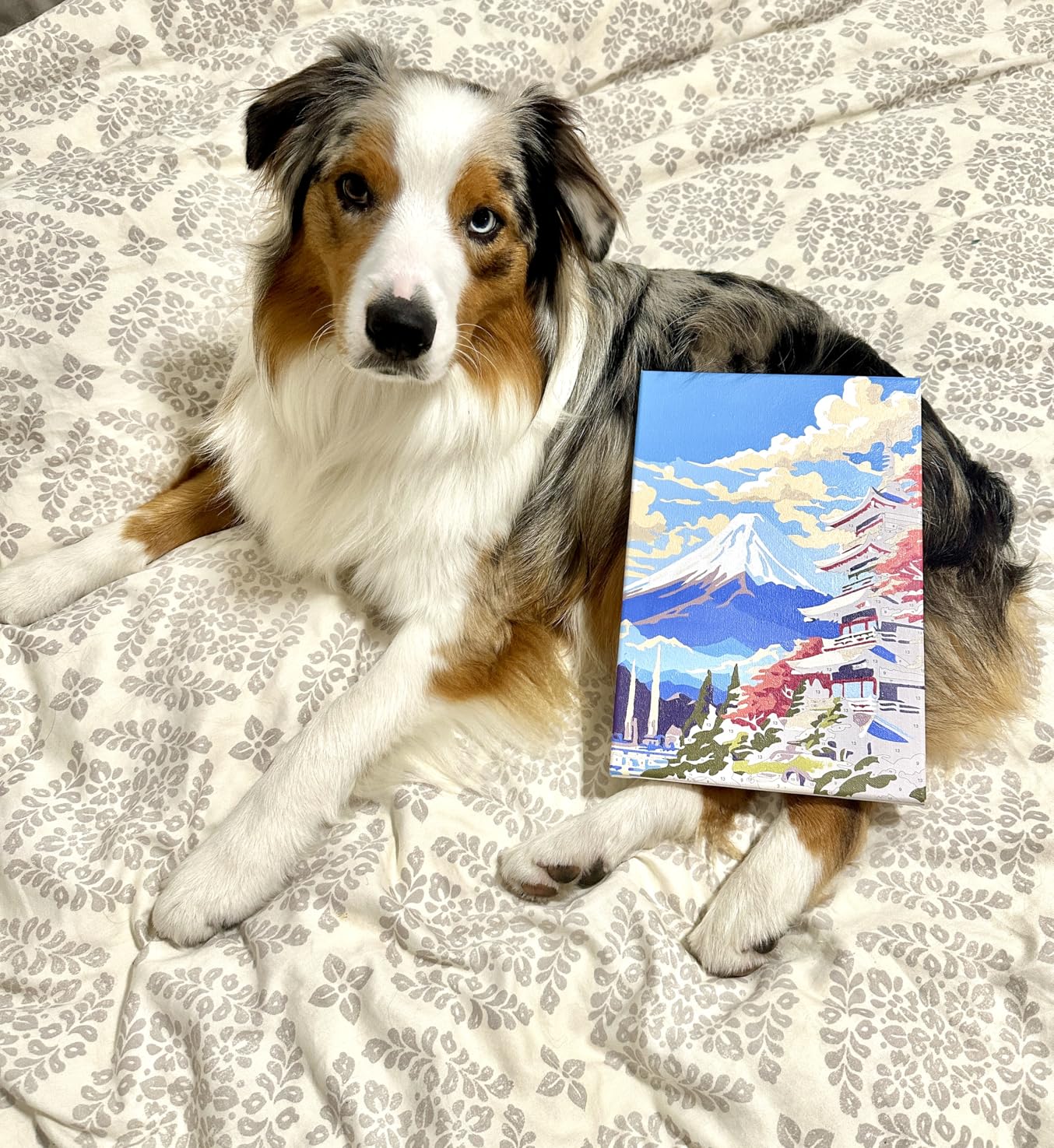 4 Pack Framed Paint by Numbers Kit for Adults with Wooden Easel, National Parks Easy Paint by Numbers with Frame for Beginners, Adult Paint by Number Kits Framed Canvas for Home Decor Gift 8x12 Inch customer photo 1