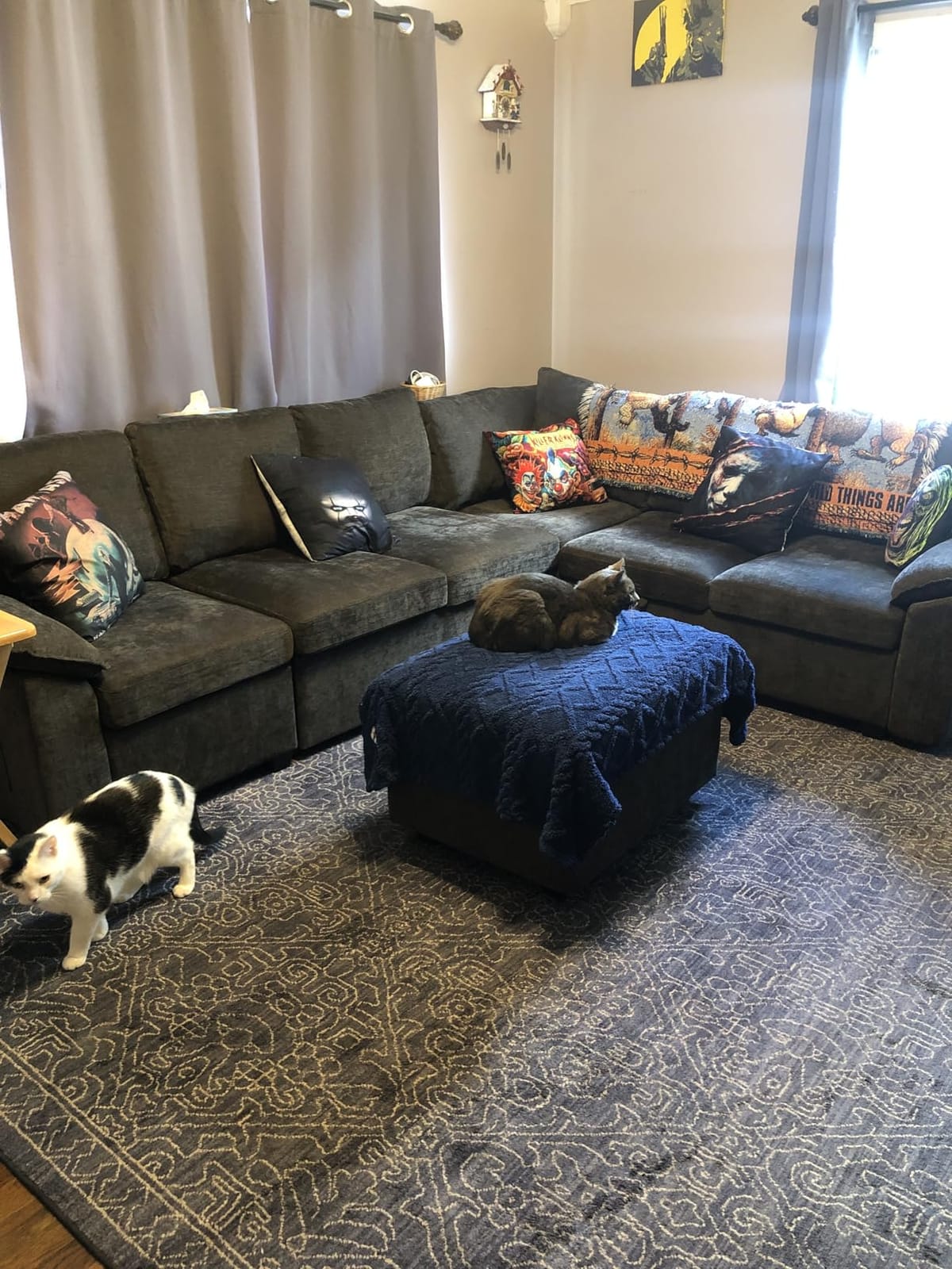 108'' Modular Sectional Sofa with Pull Out Bed, Sleeper Sofa, Dark Gray | U Shaped 7 Seat Sectional Couches for Living Room, Cloud Modular Couch with Storage, Pull Out Couch, Removable Sofa Cover customer photo 2