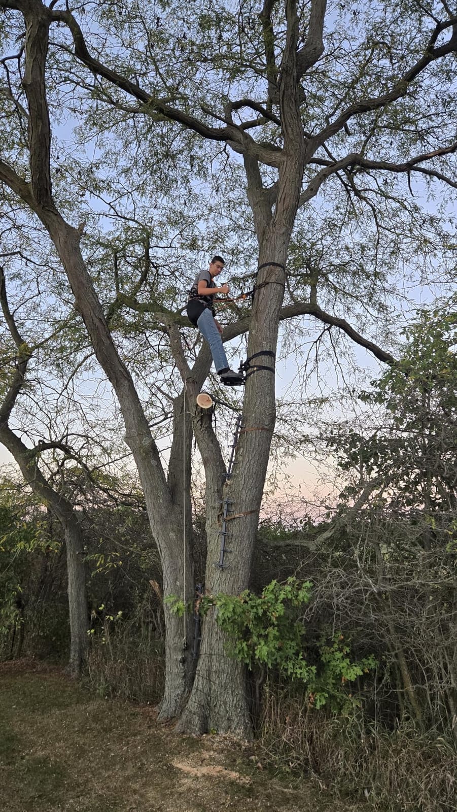 Kalkal Complete Tree Saddle Hunting System, Hunting Saddle Kit with Aluminum Tree Saddle Platform, Tree Saddle Safety Harness, Tree Straps and Safety Rope customer photo 1