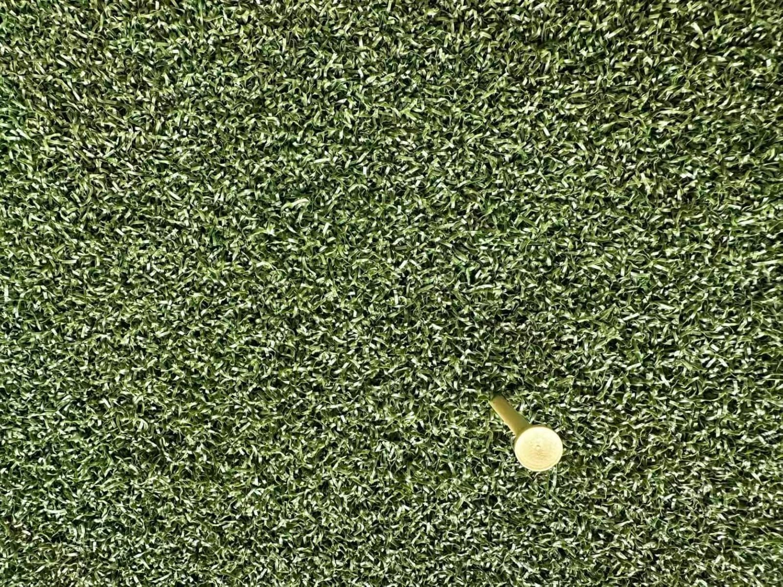 Fanshaw Premium Dual-Turf Golf Mat 5x4/6x4ft 40-50mm Thickened for Practice | Durable Golf Hitting Mat: Tee, Fairway & Rough Turf for Driving & Chipping, Indoor & Outdoor Backyard & Simulator Training customer photo 1