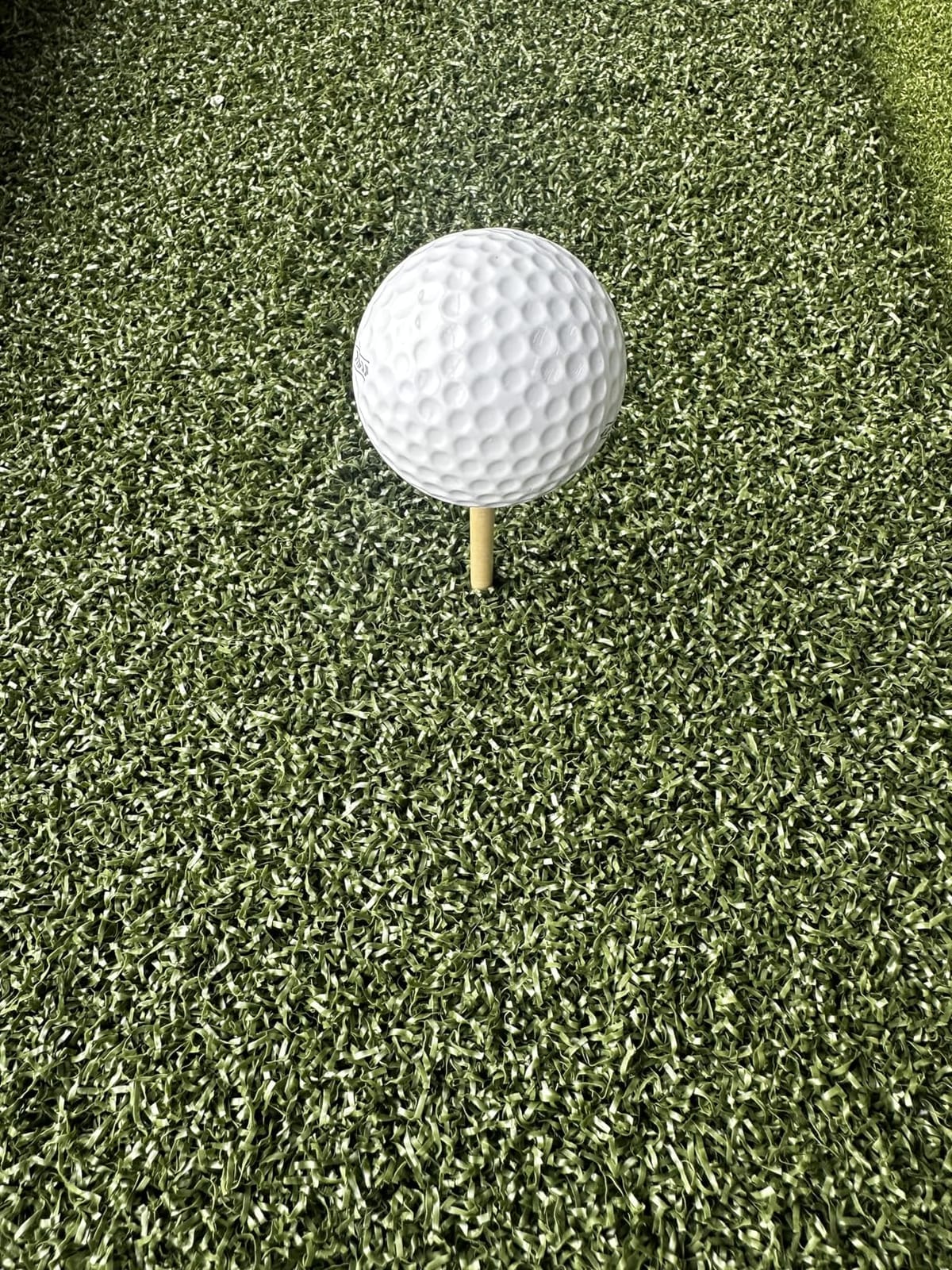 Fanshaw Premium Dual-Turf Golf Mat 5x4/6x4ft 40-50mm Thickened for Practice | Durable Golf Hitting Mat: Tee, Fairway & Rough Turf for Driving & Chipping, Indoor & Outdoor Backyard & Simulator Training customer photo 2