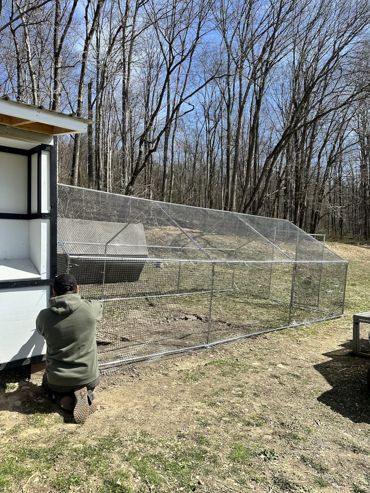 CAMMOO Walk in Chicken Coop, 9.8x6.6x6.6ft Chicken Run for Yard with Cover | Upgrade Double Lock & Mesh, Stainless Steel Ties, Easy Assembly, Chicken Pen for Ducks, Rabbits customer photo 2