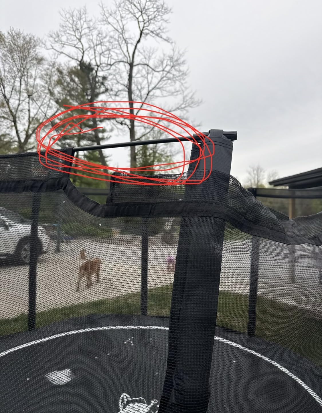 Round In-Ground Trampoline - Heavy-Duty Flush-to-Ground Outdoor Jumping Mat with Galvanized Frame, Safety Padding & Easy Install Kit, 12 or 14 Diameter customer photo 1