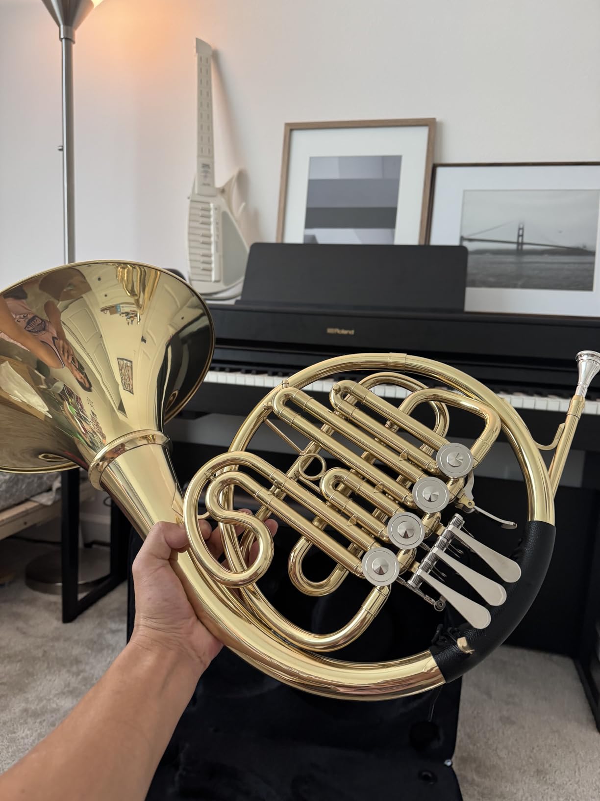 Double French Horn F/Bb 4 Keys, Gold Craft Lacquer Brass Professional French Horn, Complete Accessory Kit for Concert Band and Solo Performance customer photo 2