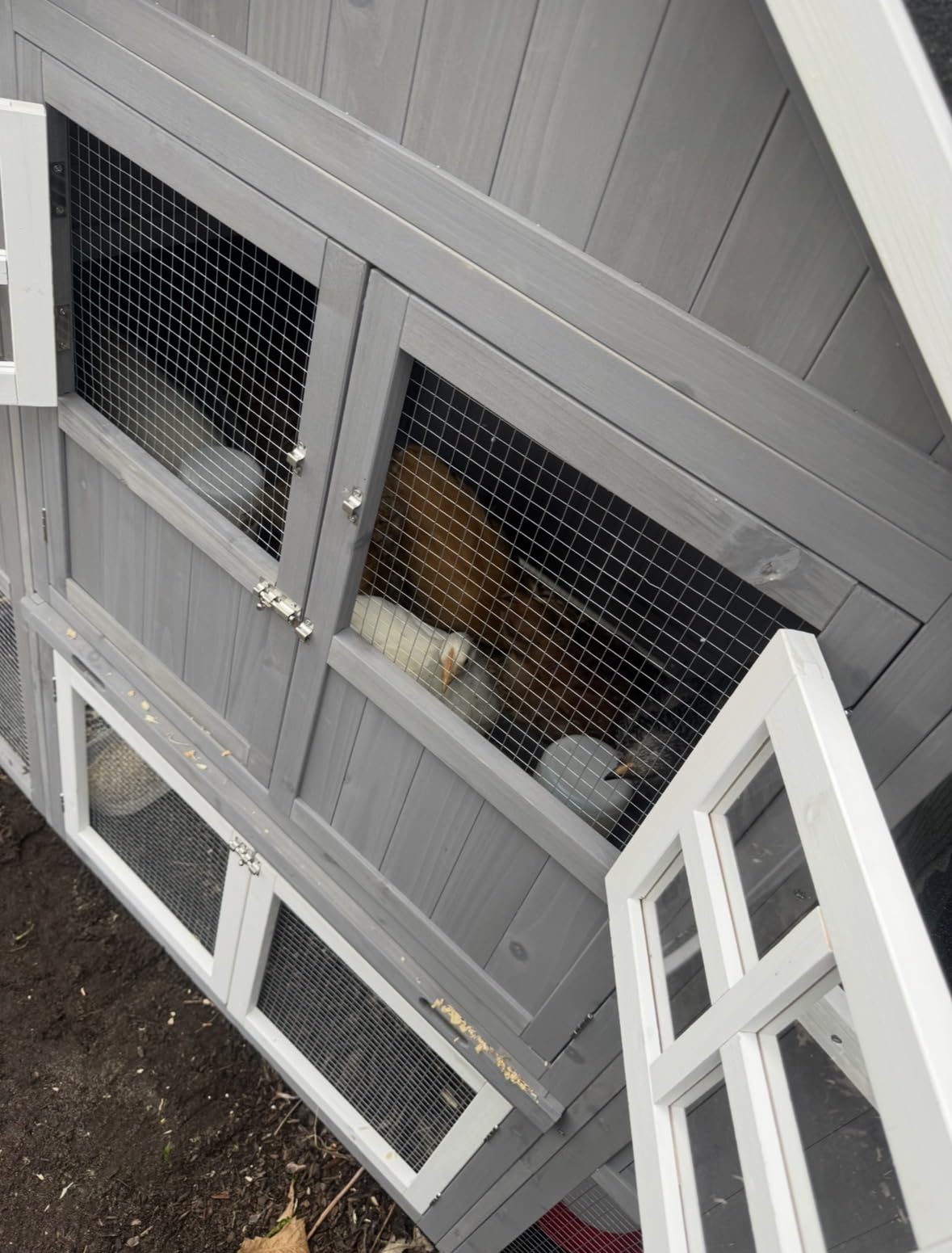 Large Chicken Coop for 6-10 Chickens, Outdoor Predator Proof Wooden Hen House Design with 2 Nesting Boxes and Weatherproof Roof, Easy to Clean Poultry Cage for Outsides customer photo 2