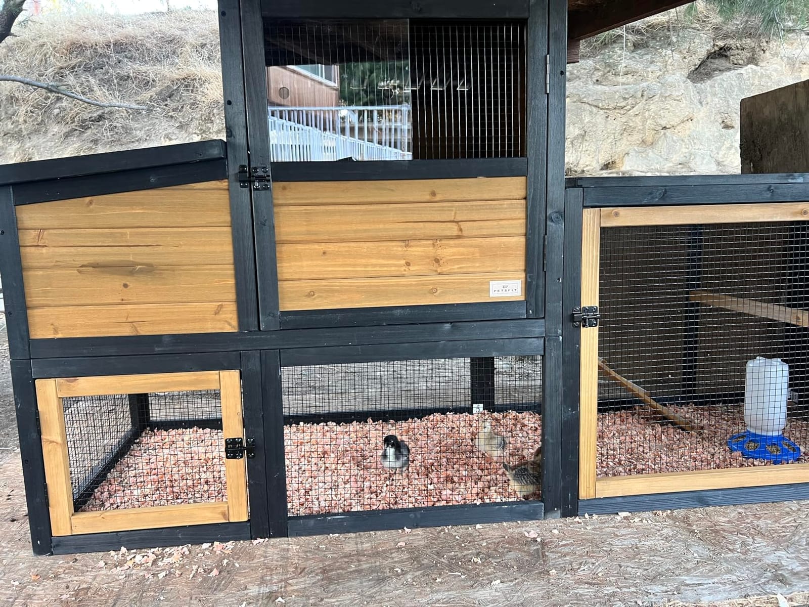 Petsfit Outdoor Chicken Coop with Run for 4-6 Chickens, 3 Nesting Boxes | 71 x 42 x 45 in; predator-resistant ground anchors, 3-door cleaning access, washable floor, 3 perches and chicken swing. customer photo 2