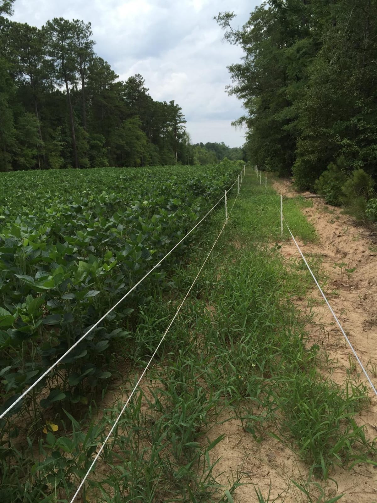 Parmak Magnum Solar-Pak 12 Low Impedance 12 Volt Battery Operated 30 Mile Range Electric Fence Charger MAG12-SP customer photo 1