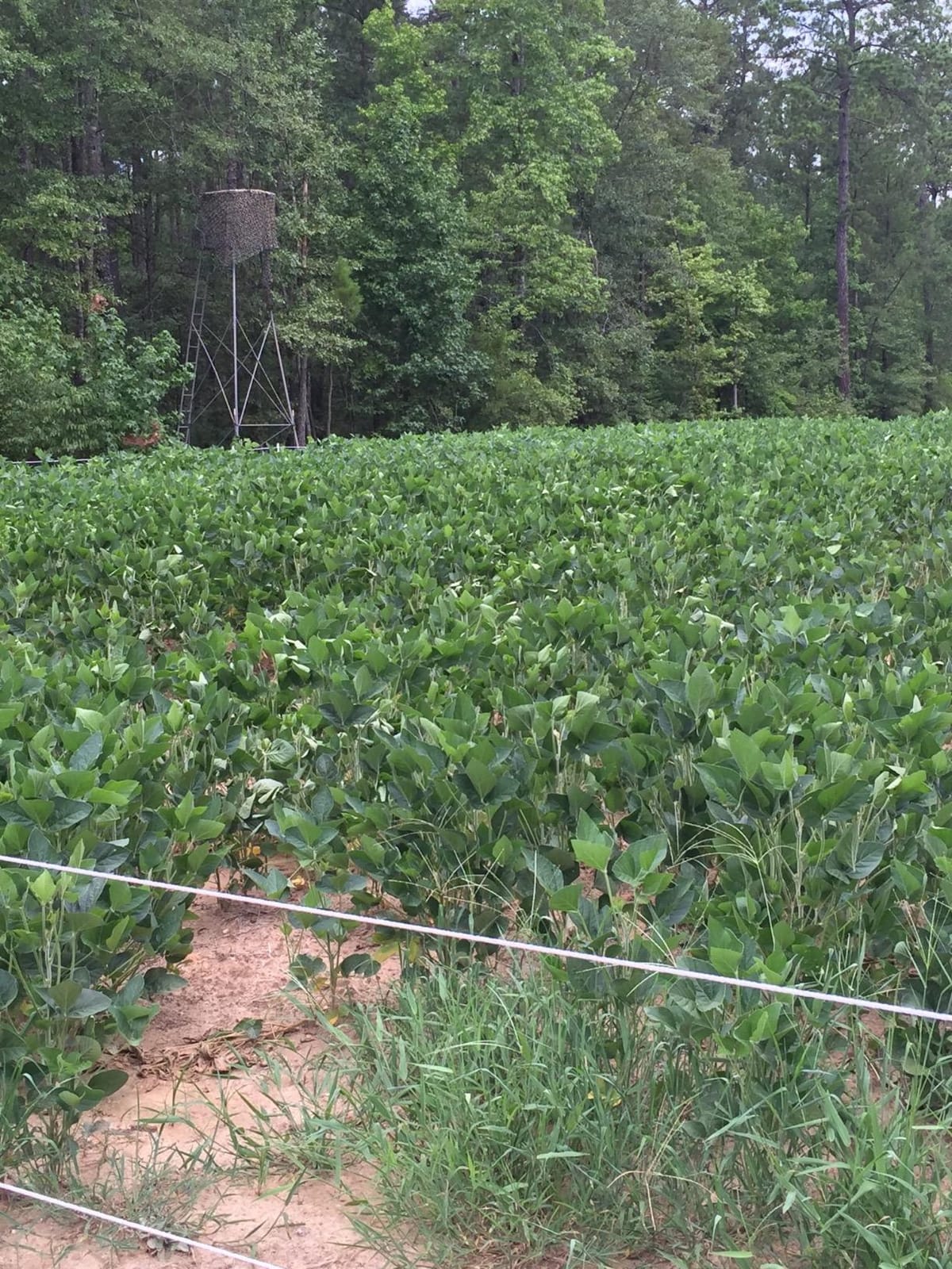 Parmak Magnum Solar-Pak 12 Low Impedance 12 Volt Battery Operated 30 Mile Range Electric Fence Charger MAG12-SP customer photo 2