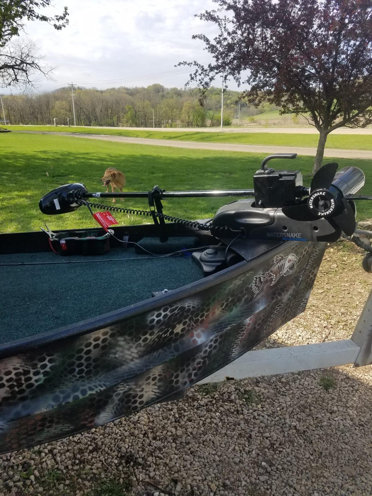 Watersnake - Shadow Bow Mount Foot Control Motor Trolling Motor customer photo 1