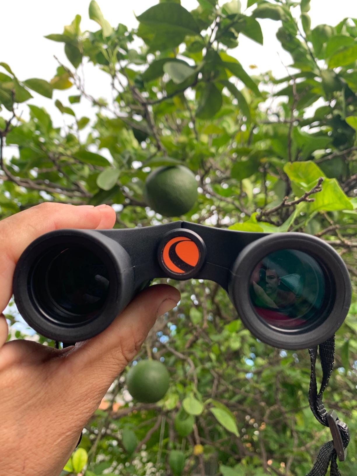 Celestron Outland X 8x25 Pocket Binoculars for Travel & Sports customer photo 1