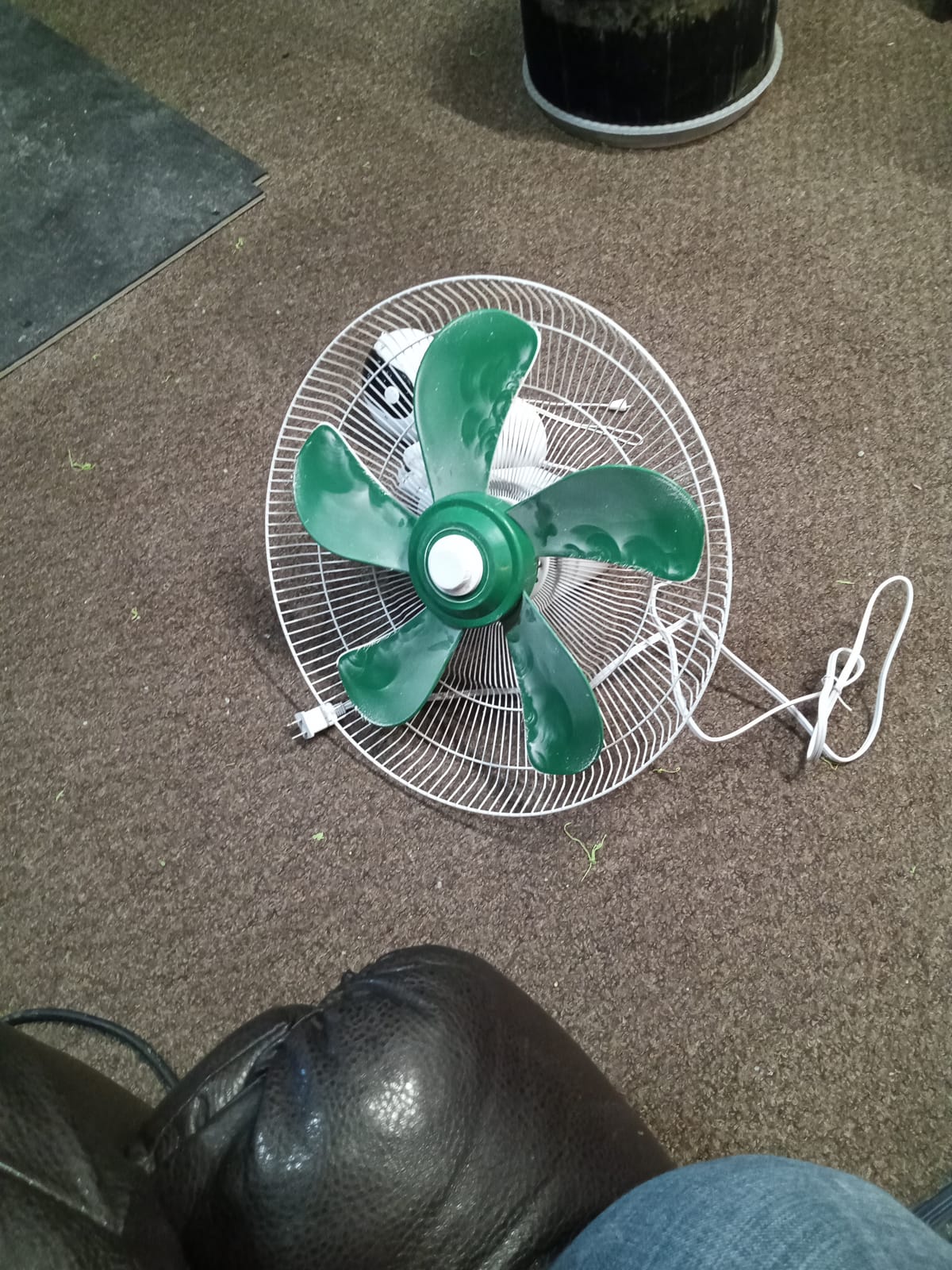 Active Air ACF16 16 inch 3-Speed Wall-Mountable 90-Degree Oscillating Hydroponic Grow Fan customer photo 1