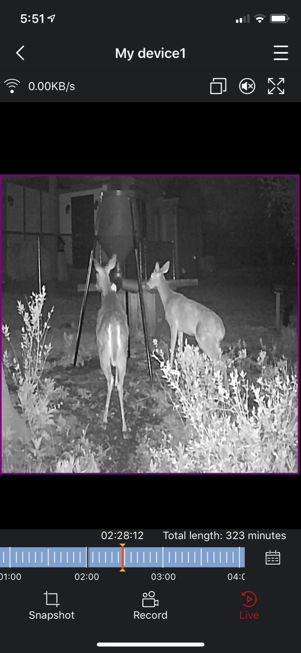 BOSS BUCK 350 LB Deer Feeder/Hunting Durable Lightweight Plastic UV Protected Windproof Waterproof Gravity Feed with Protein 3 Feed Tubes Head, Multi-Piece Round Legs customer photo 2